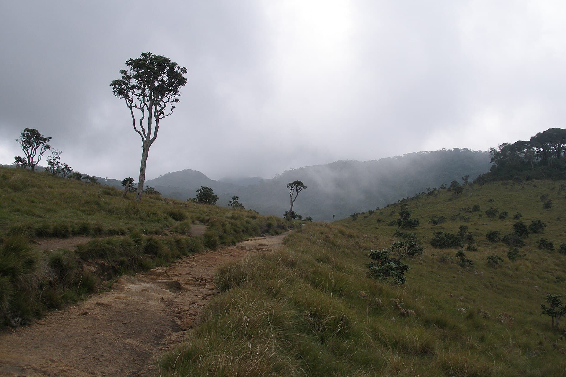 Horton Plains National Park