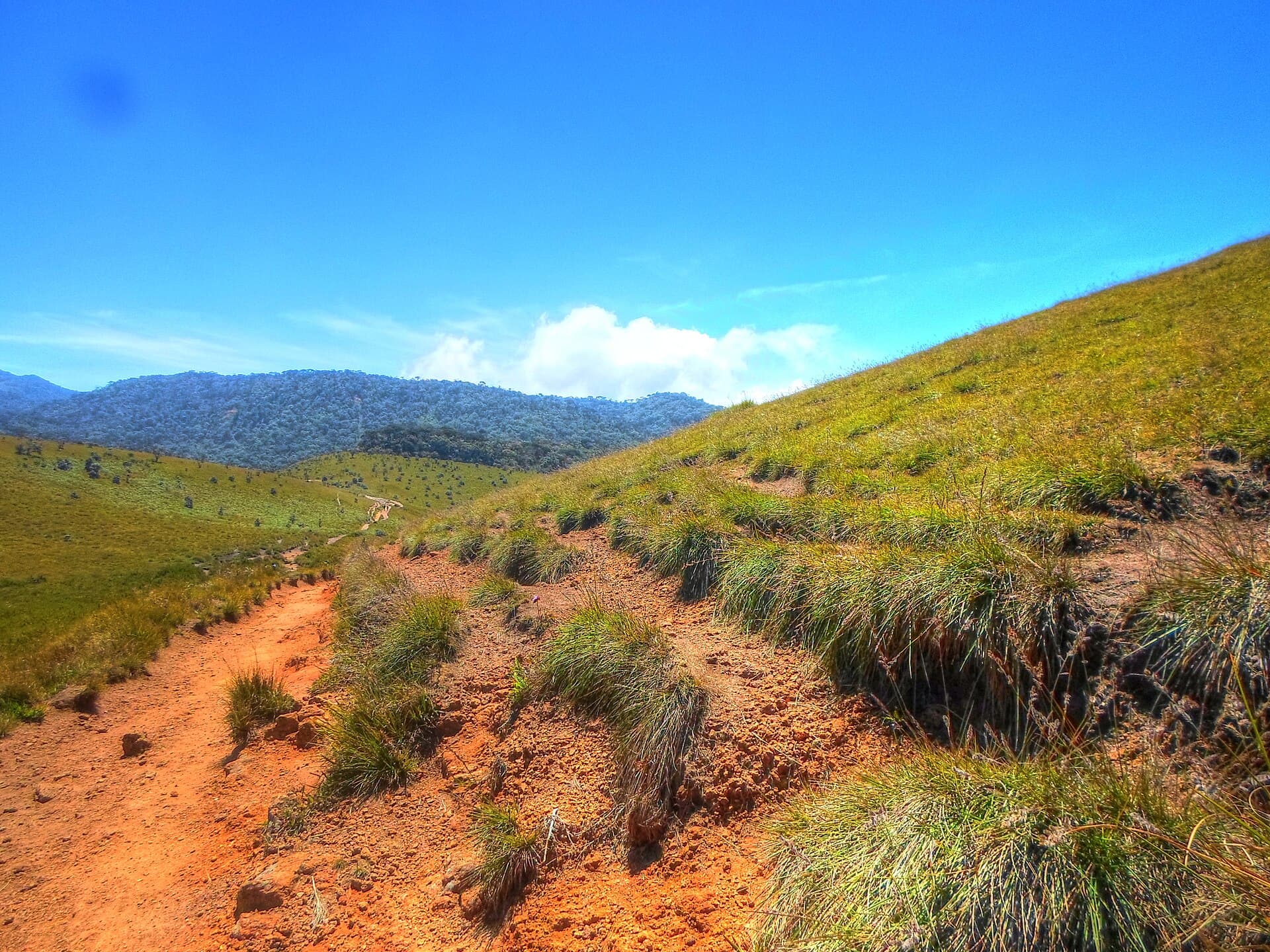 Horton Plains National Park
