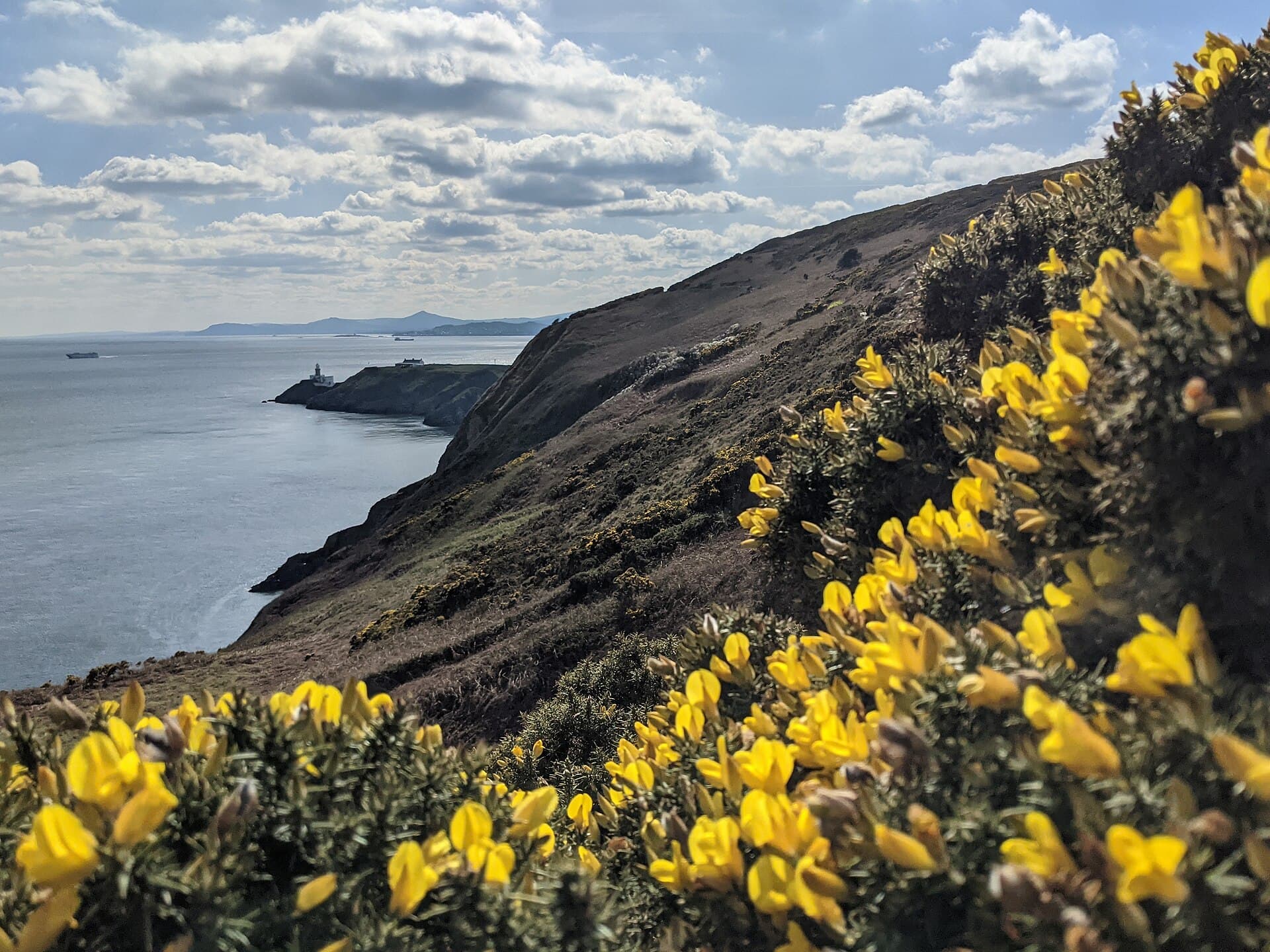 Howth Cliff Walk