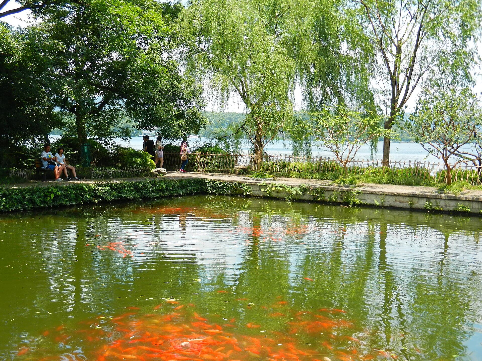 Huagang Park (Viewing Fish at Flower Pond)