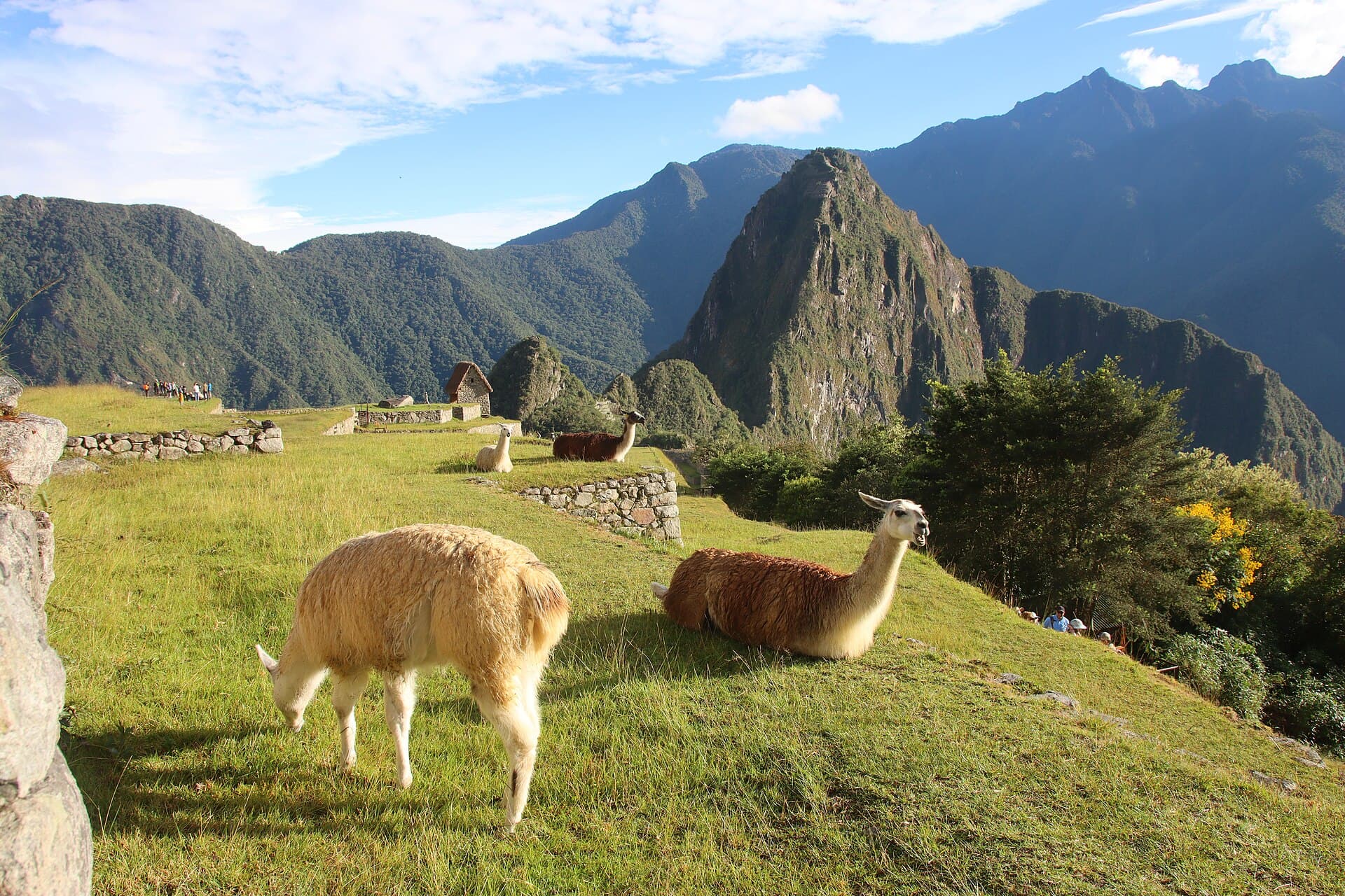 Huayna Picchu, Machu Picchu