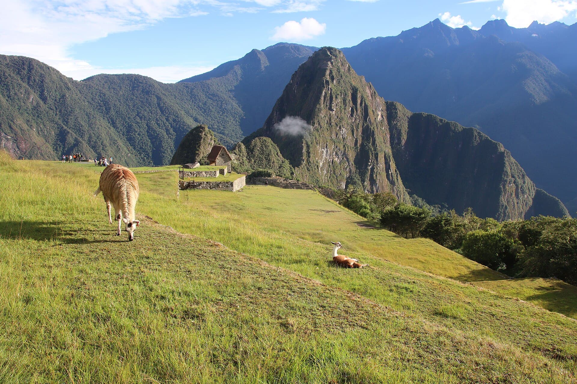 Huayna Picchu, Machu Picchu