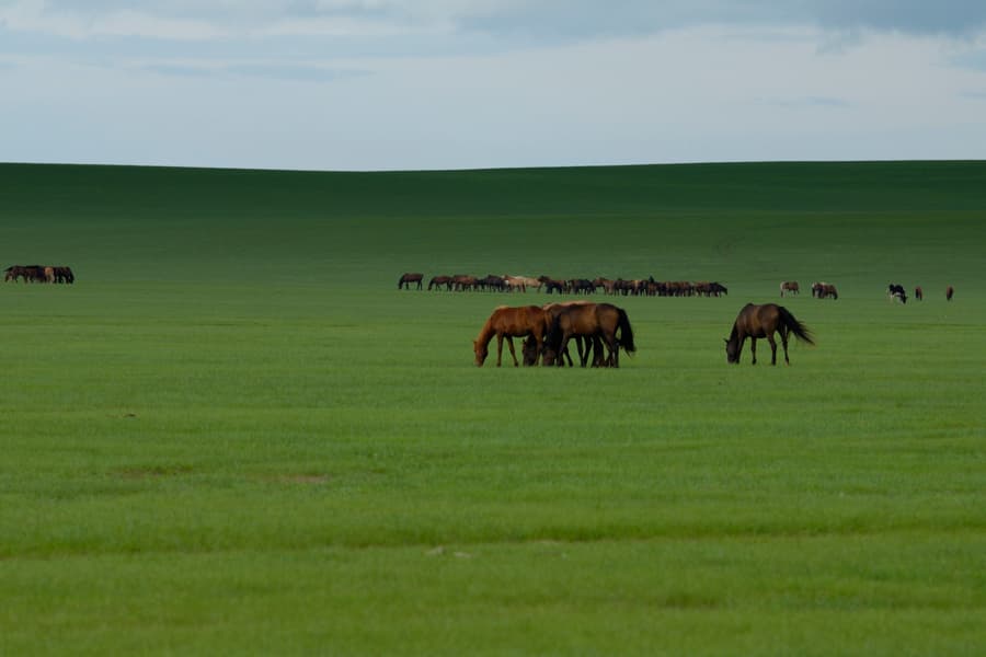 Hulunbuir Grassland and the Mo'ergele River