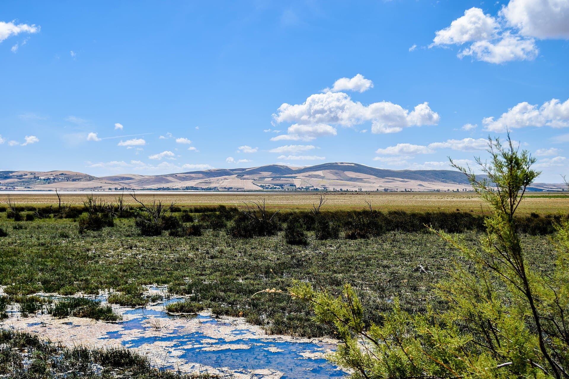 Ichkeul National Park, Bizerte