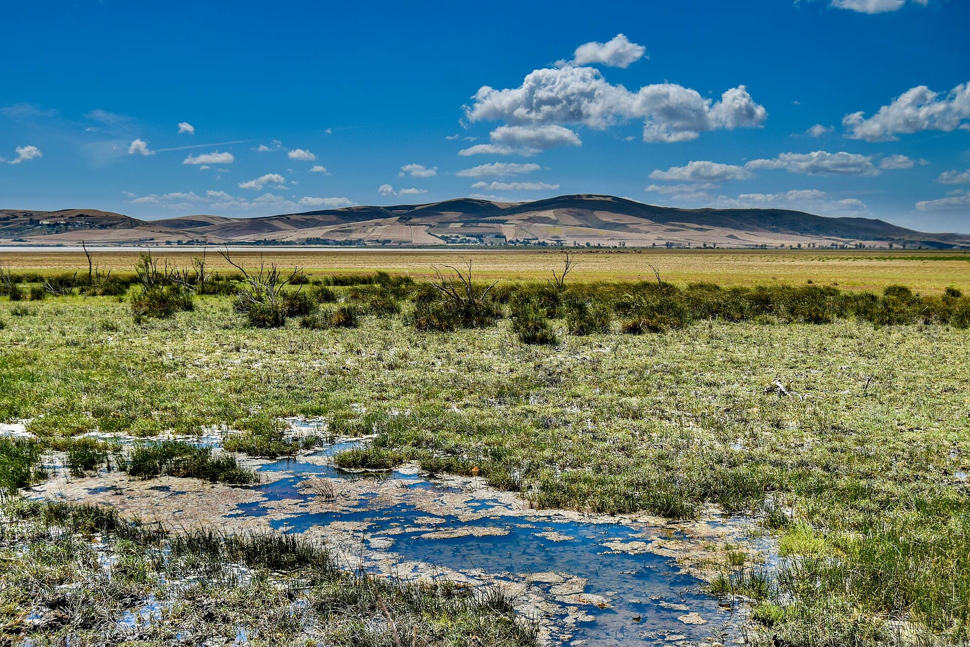 Ichkeul National Park, Bizerte
