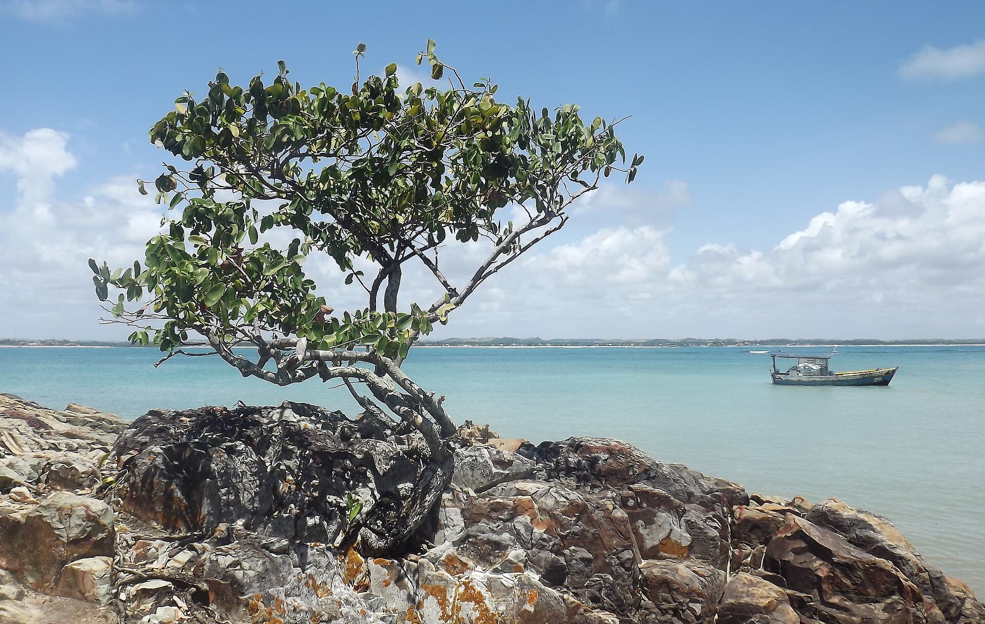 Ilha de Santo Aleixo, Sirinhaém