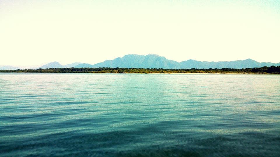 Ilha do Cardoso, Cananéia