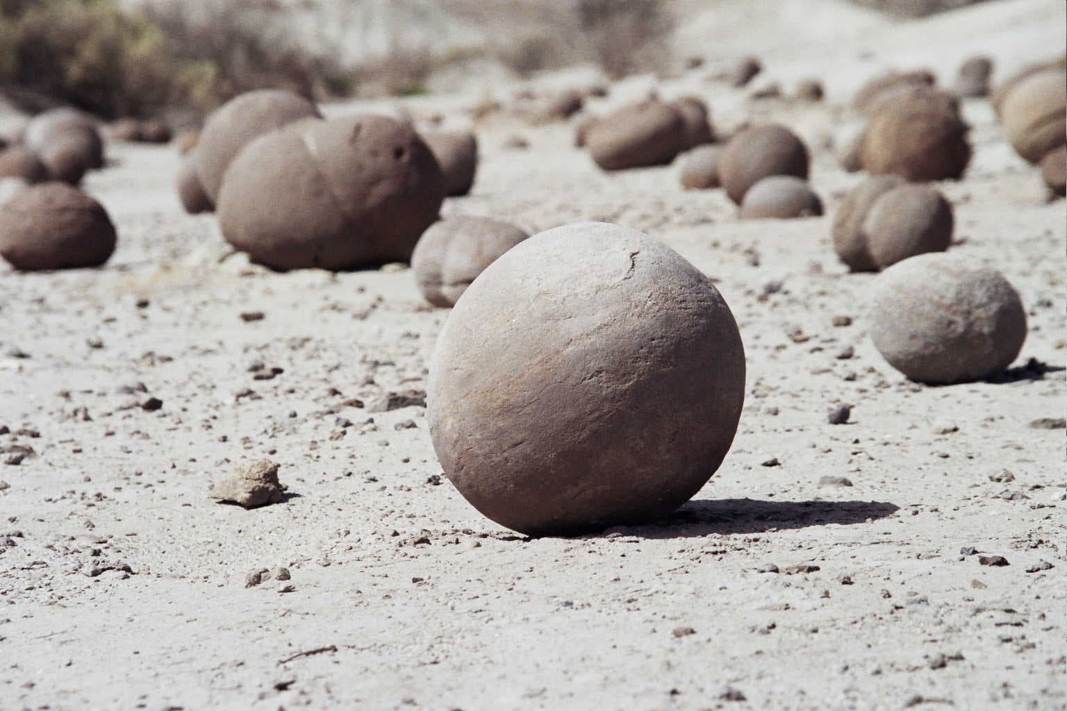 Ischigualasto (Valle de la Luna), Valle Fértil