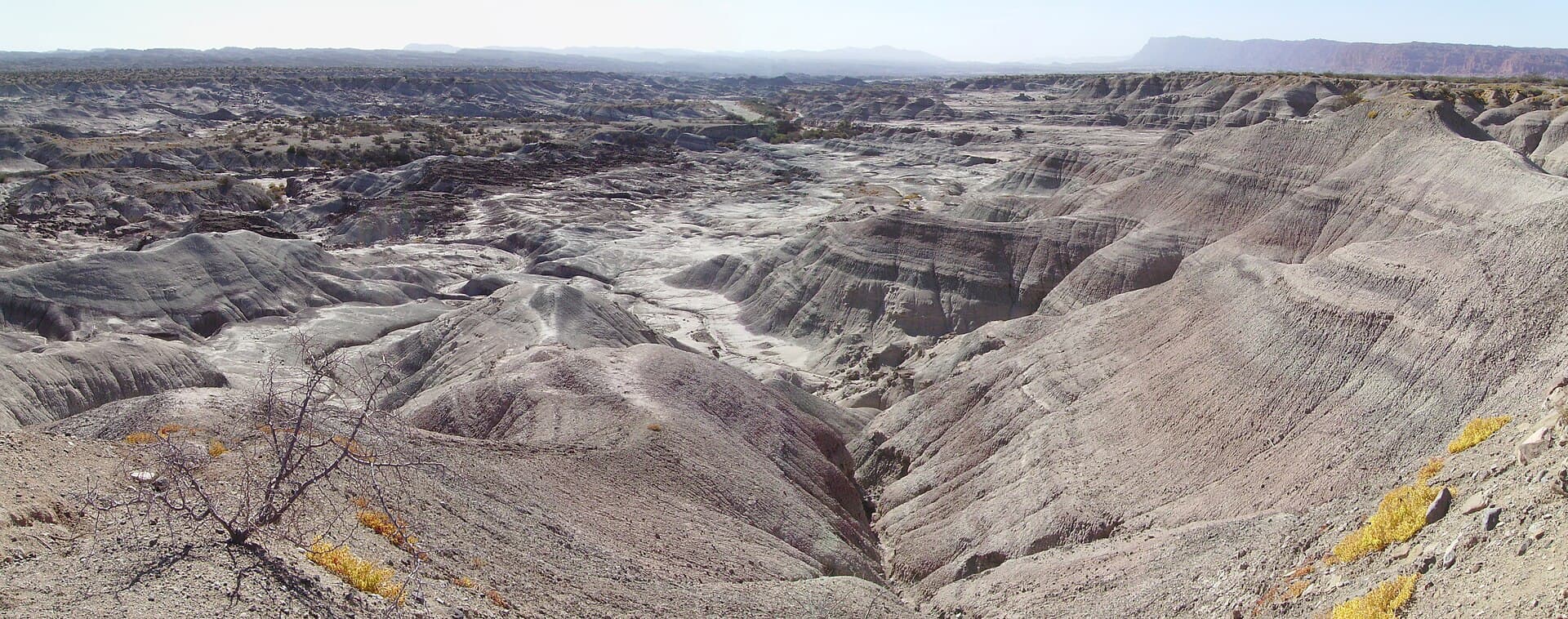 Ischigualasto (Valle de la Luna), Valle Fértil