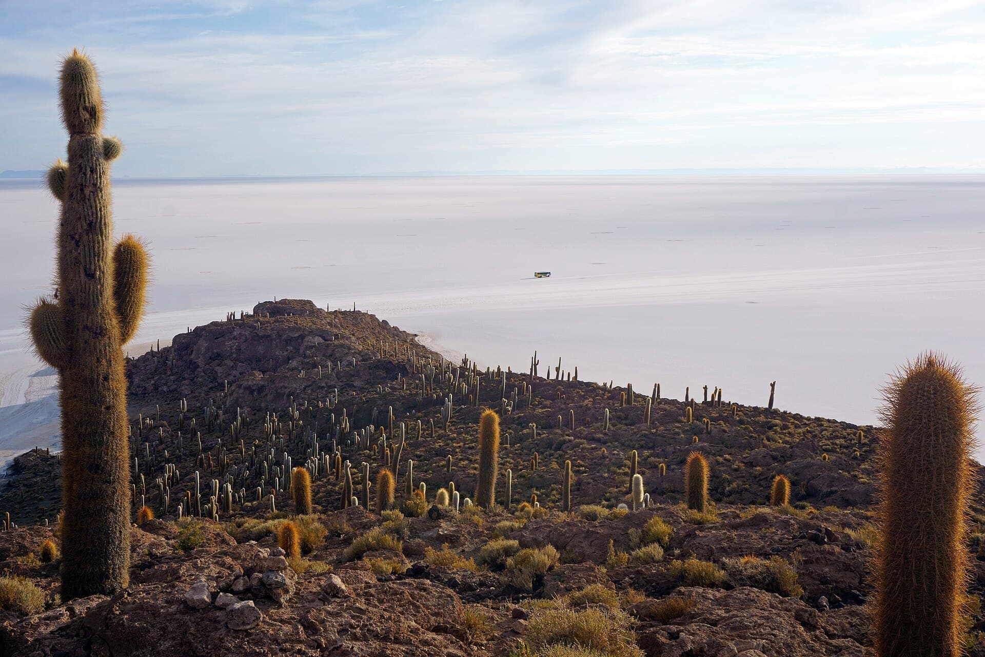 Isla Incahuasi and its cacti