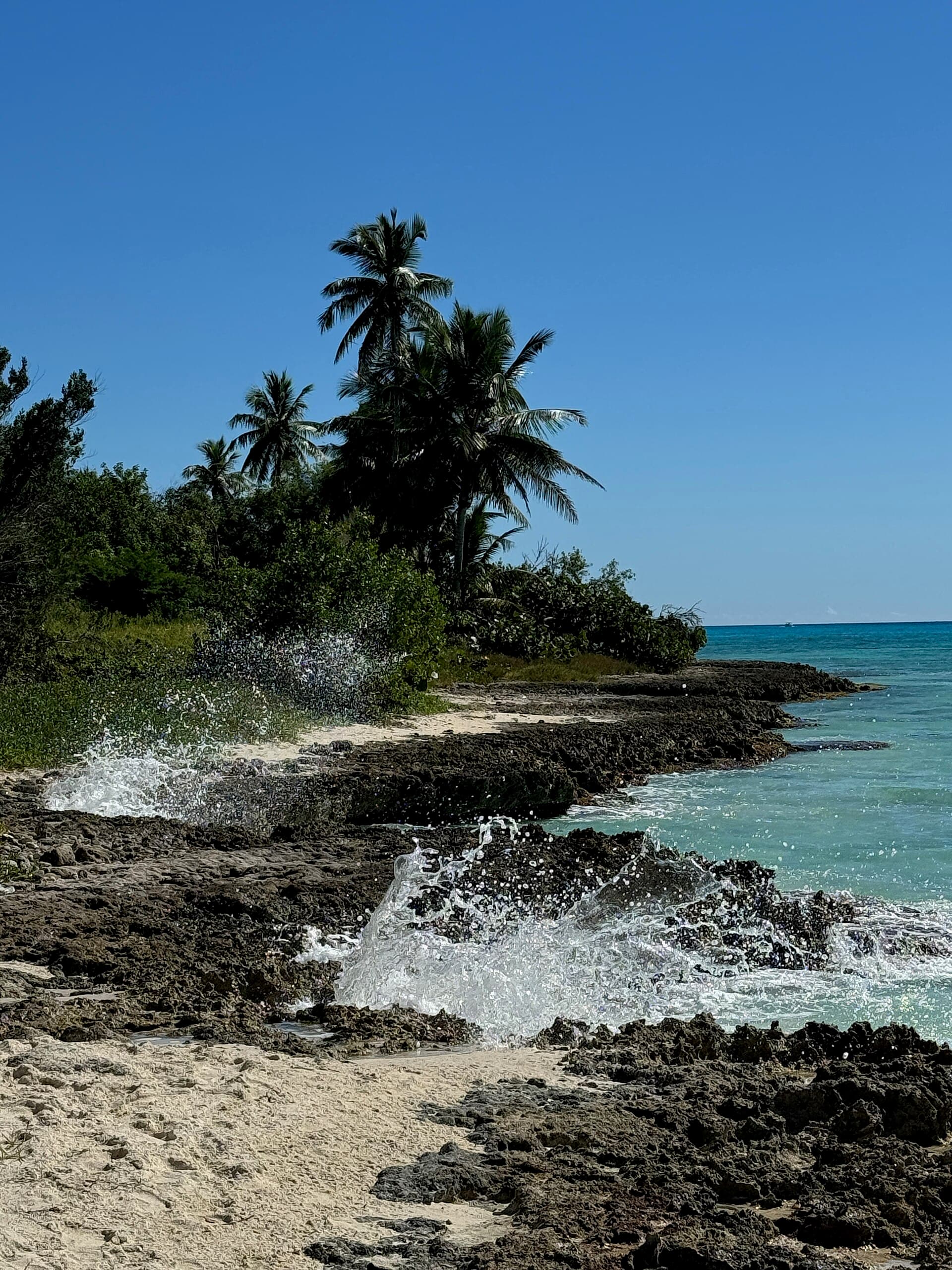 Saona Island