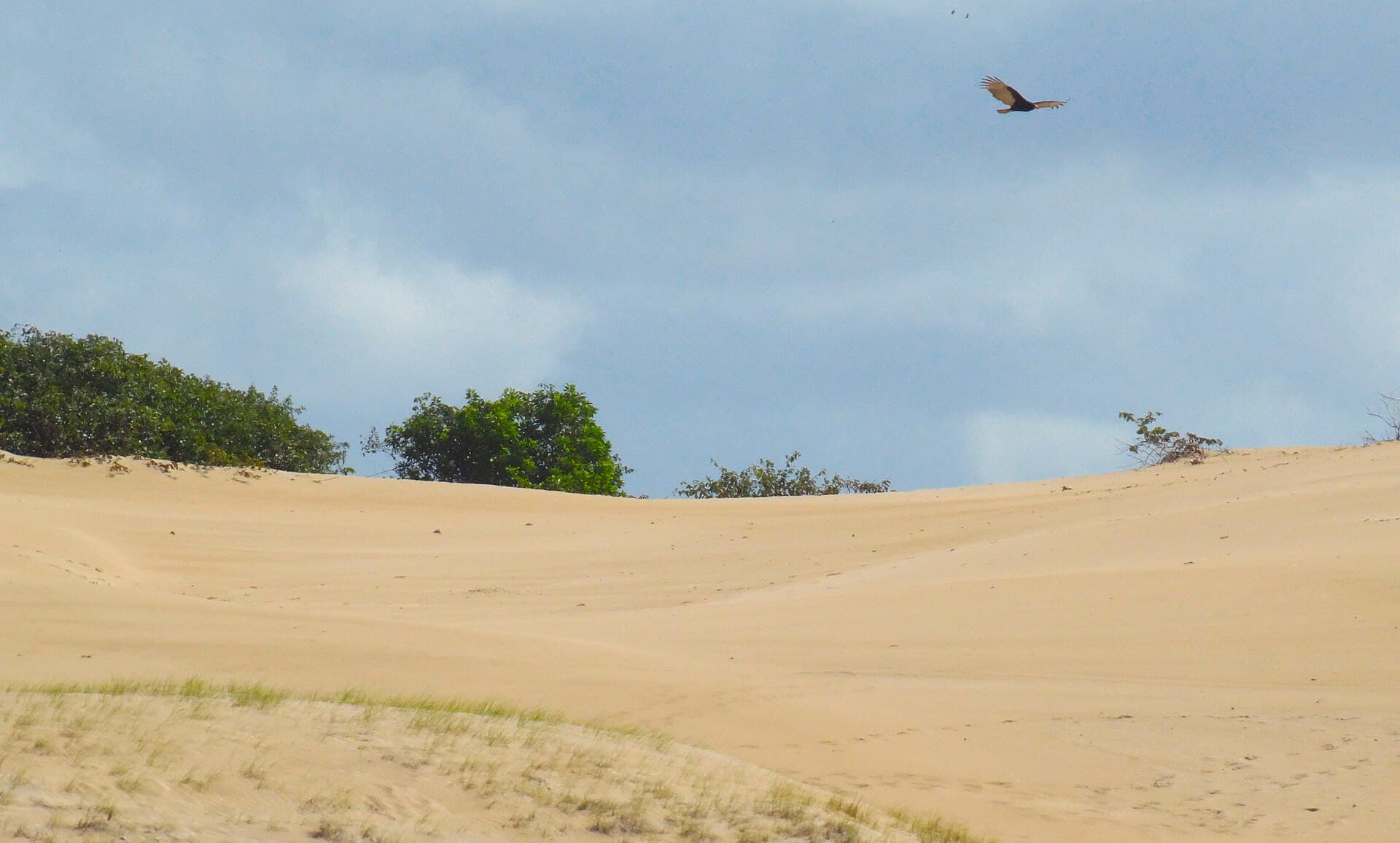 Itaúnas State Park, Conceição da Barra