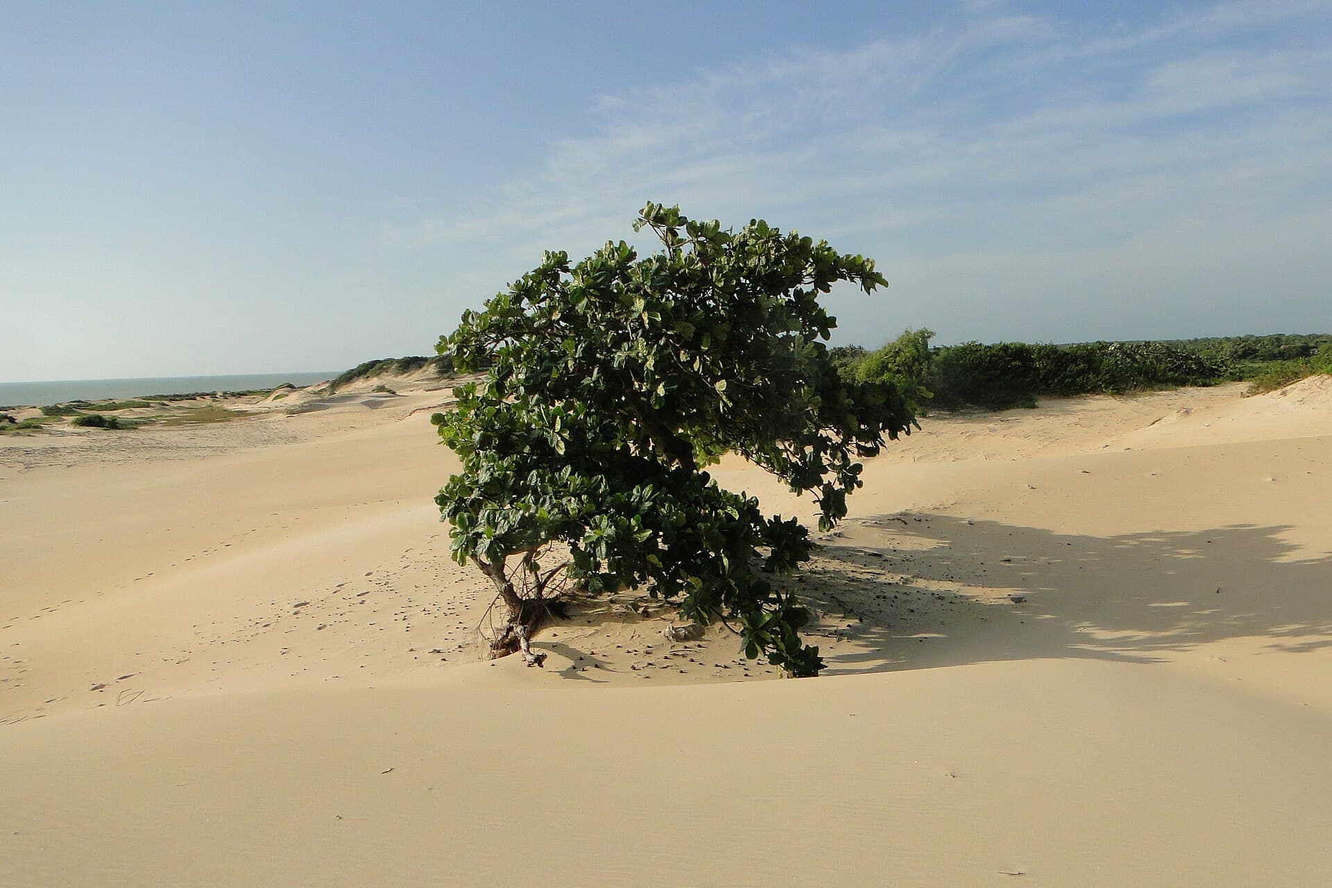 Itaúnas State Park, Conceição da Barra