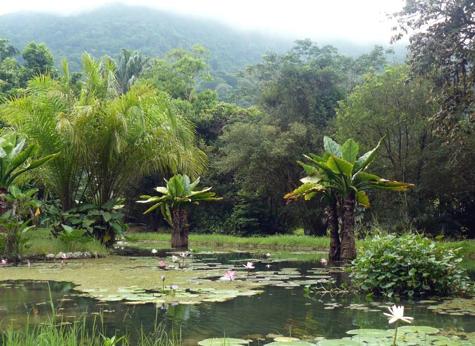 Jardim Botânico de Brasília, Brasília