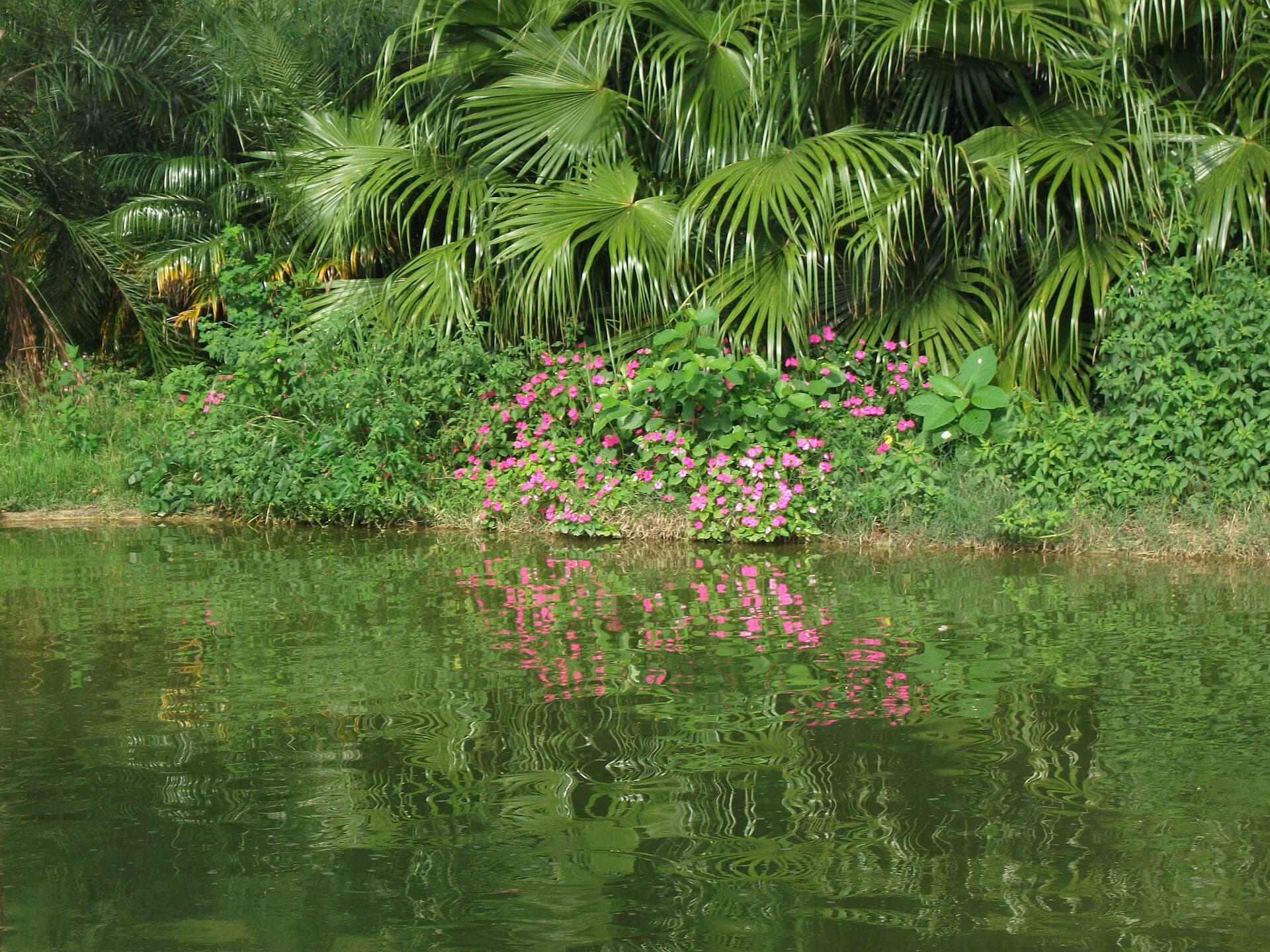 Jundiaí Botanical Garden, Jundiaí