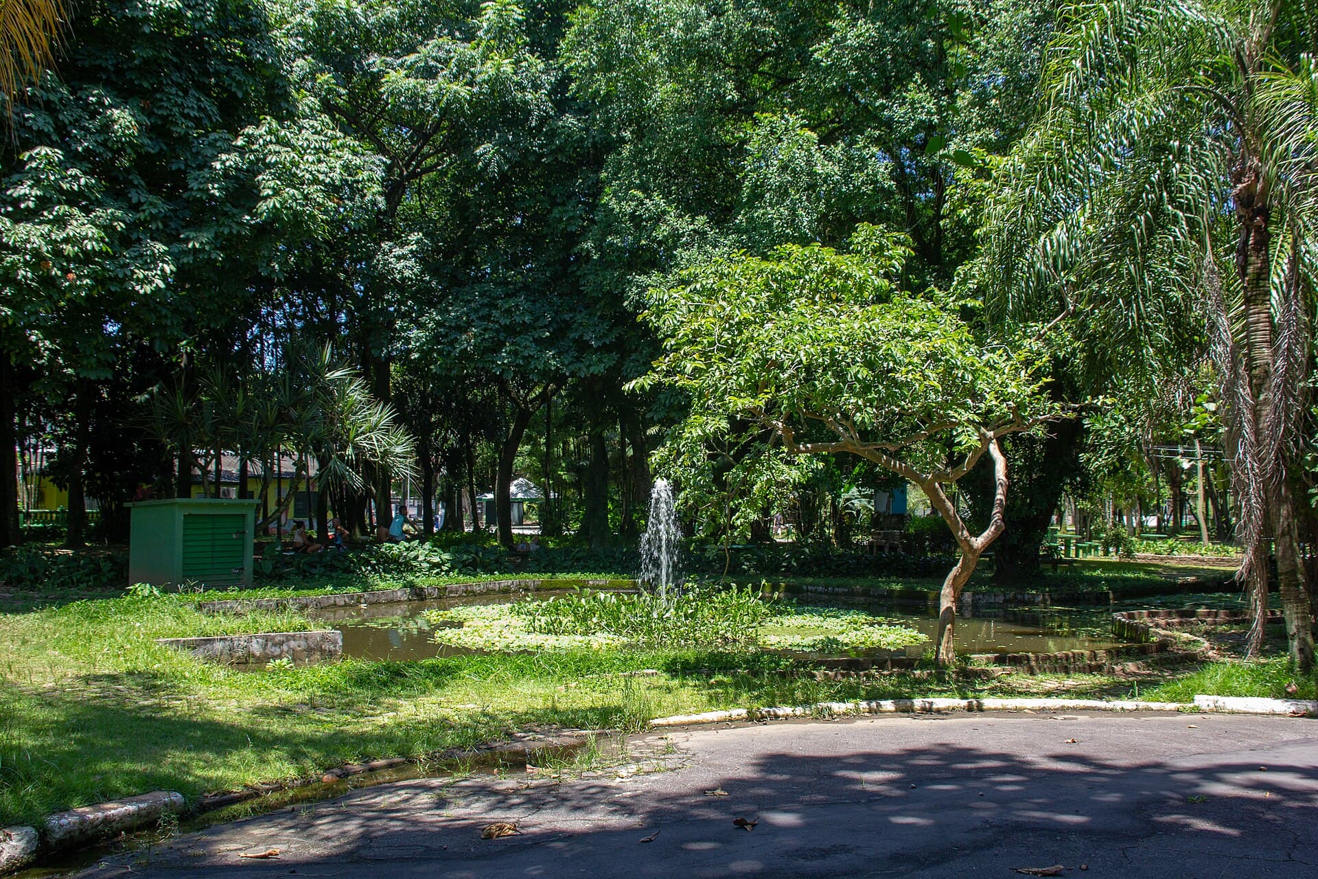 Jardim Botânico de Santos, Santos