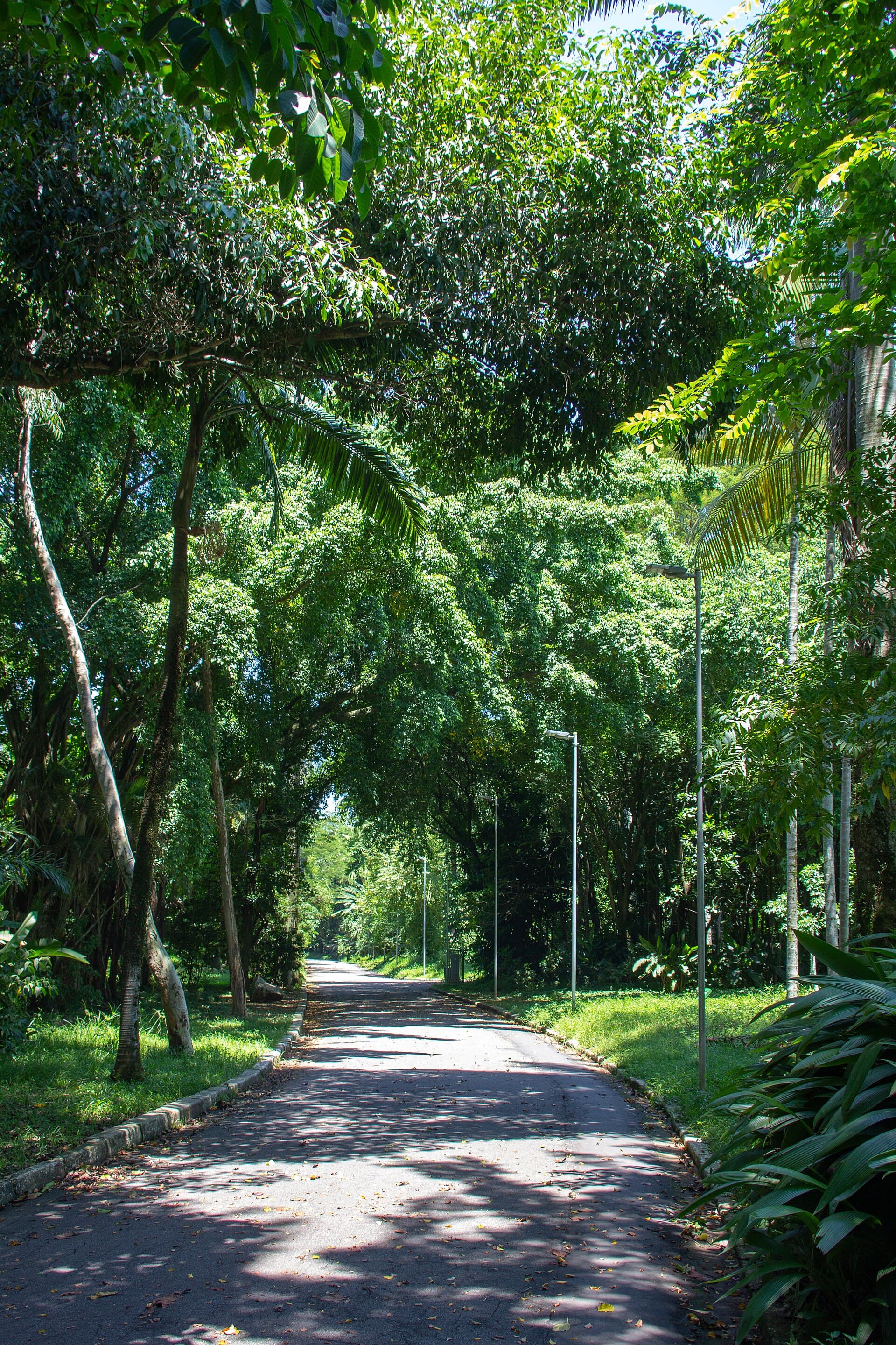 Jardim Botânico de Santos, Santos