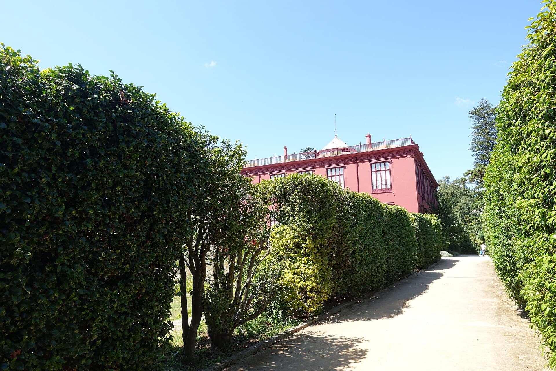 Porto Botanical Garden, Porto