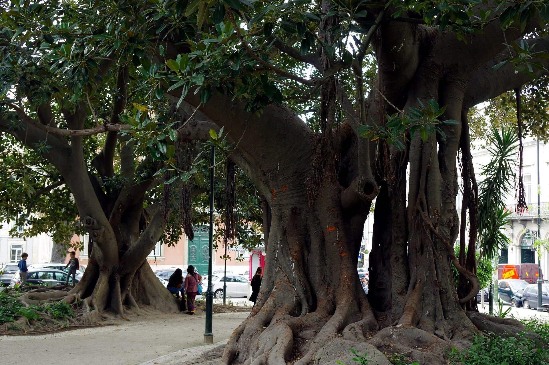 Príncipe Real Garden, Lisbon