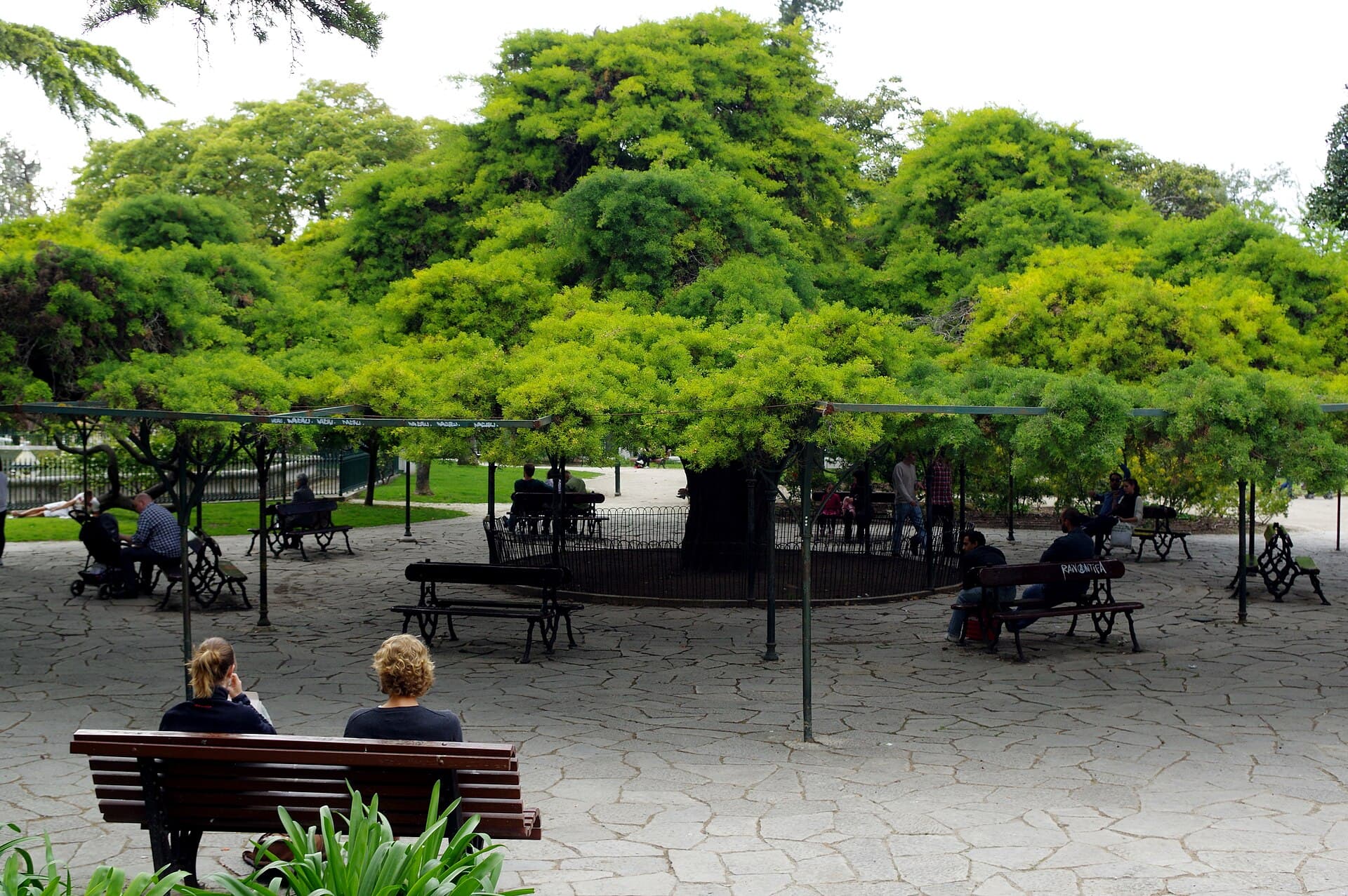 Príncipe Real Garden, Lisbon