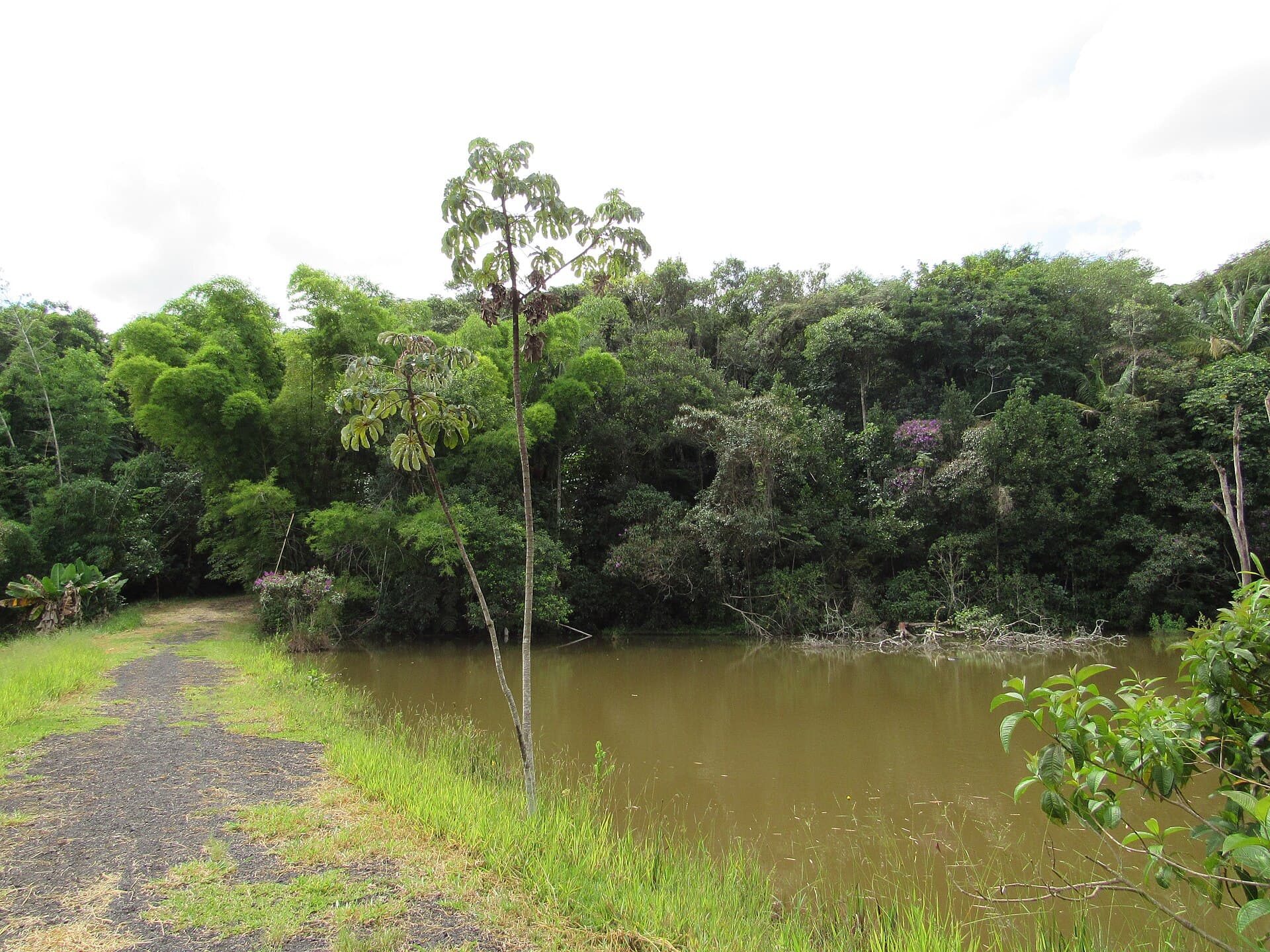 Franca Zoobotanical Garden, Franca