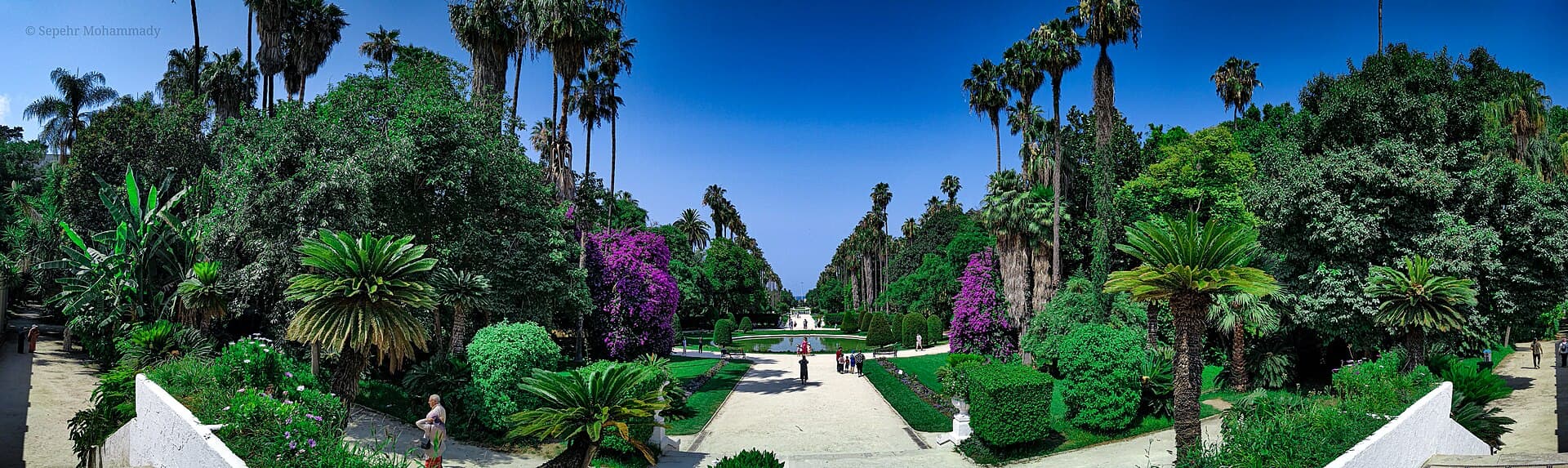 Jardin d'Essai du Hamma, Algiers