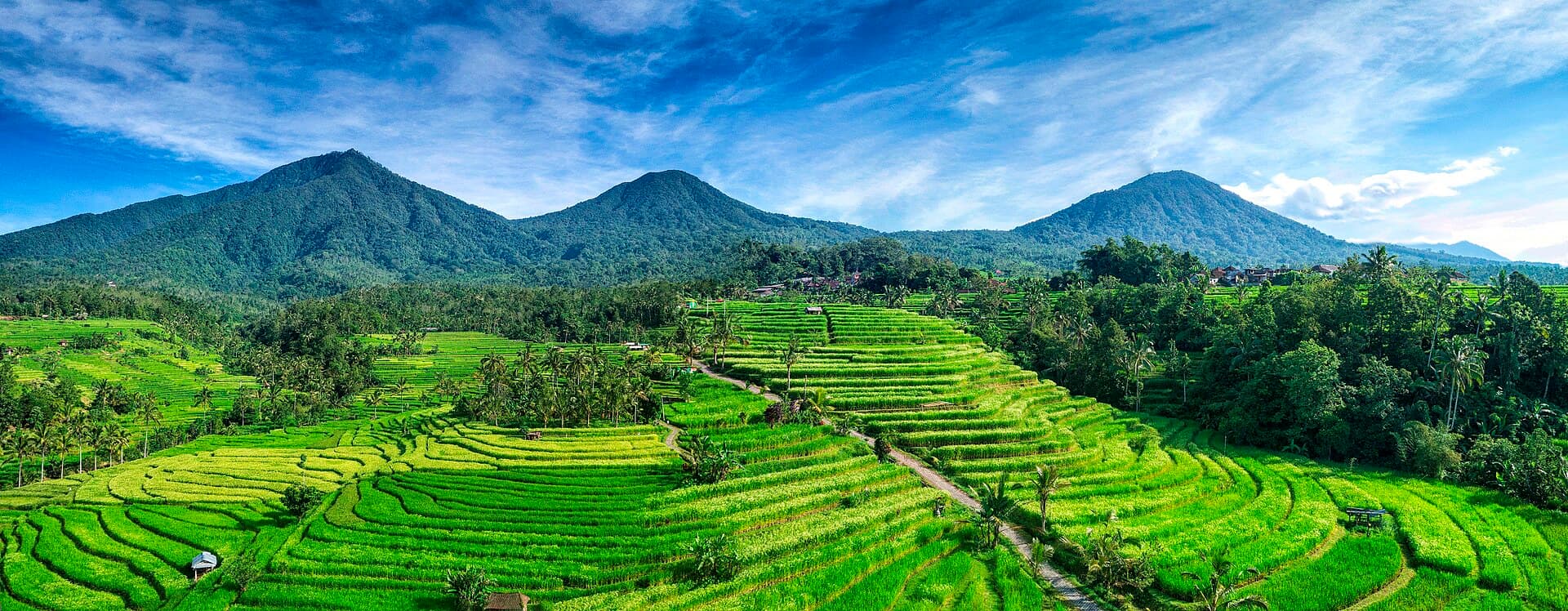 Jatiluwih Rice Terraces, Bali