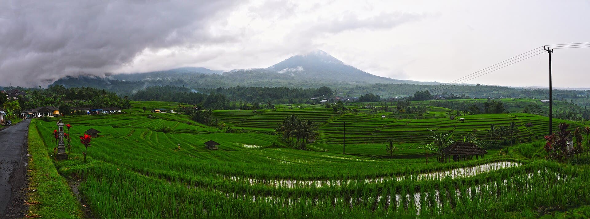 Jatiluwih Rice Terraces, Bali
