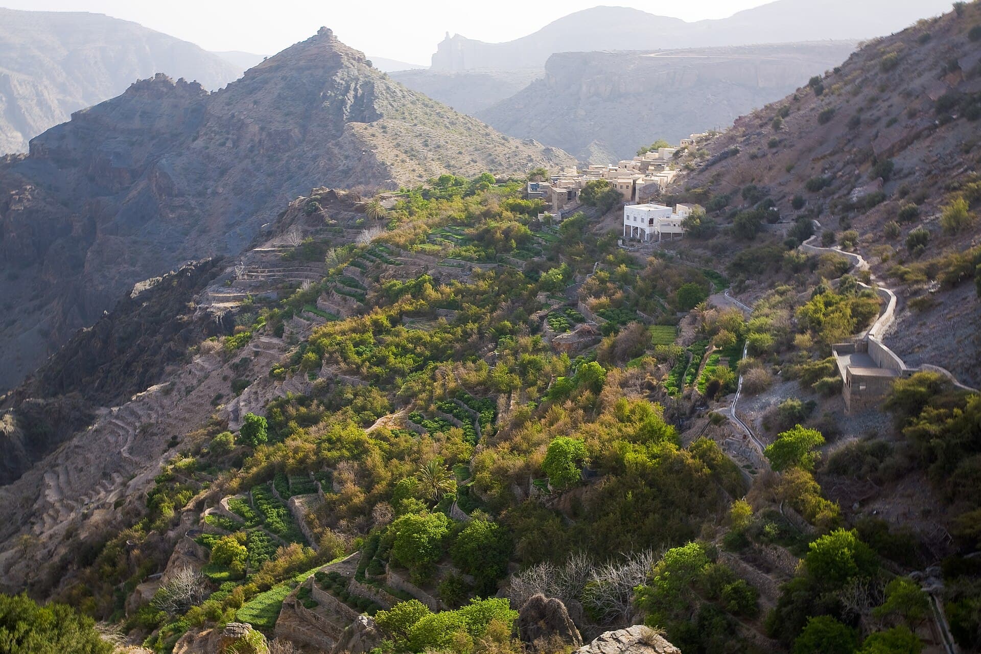 الجبل الأخضر وهضبة سيق