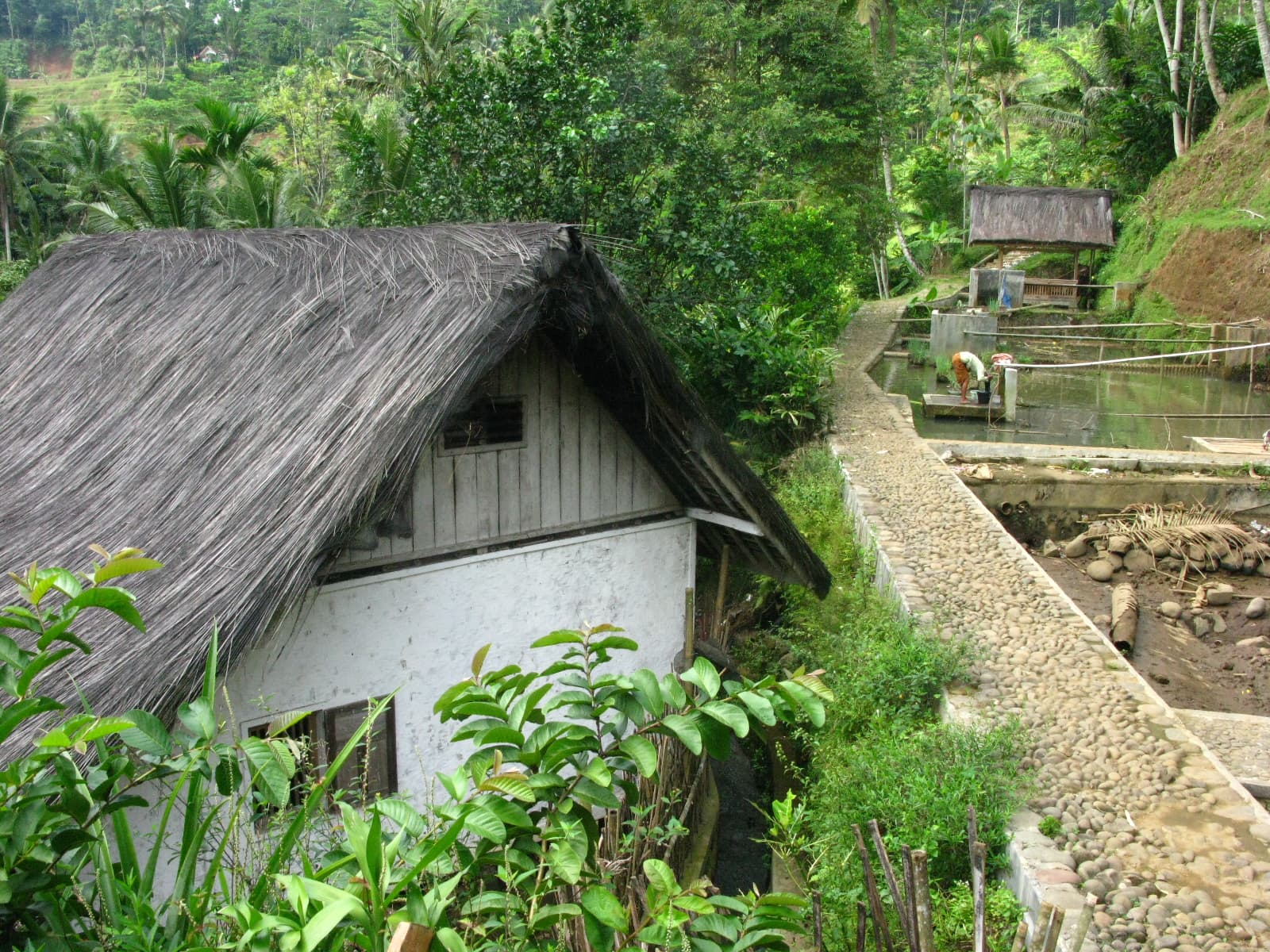 Kampung Naga traditional village