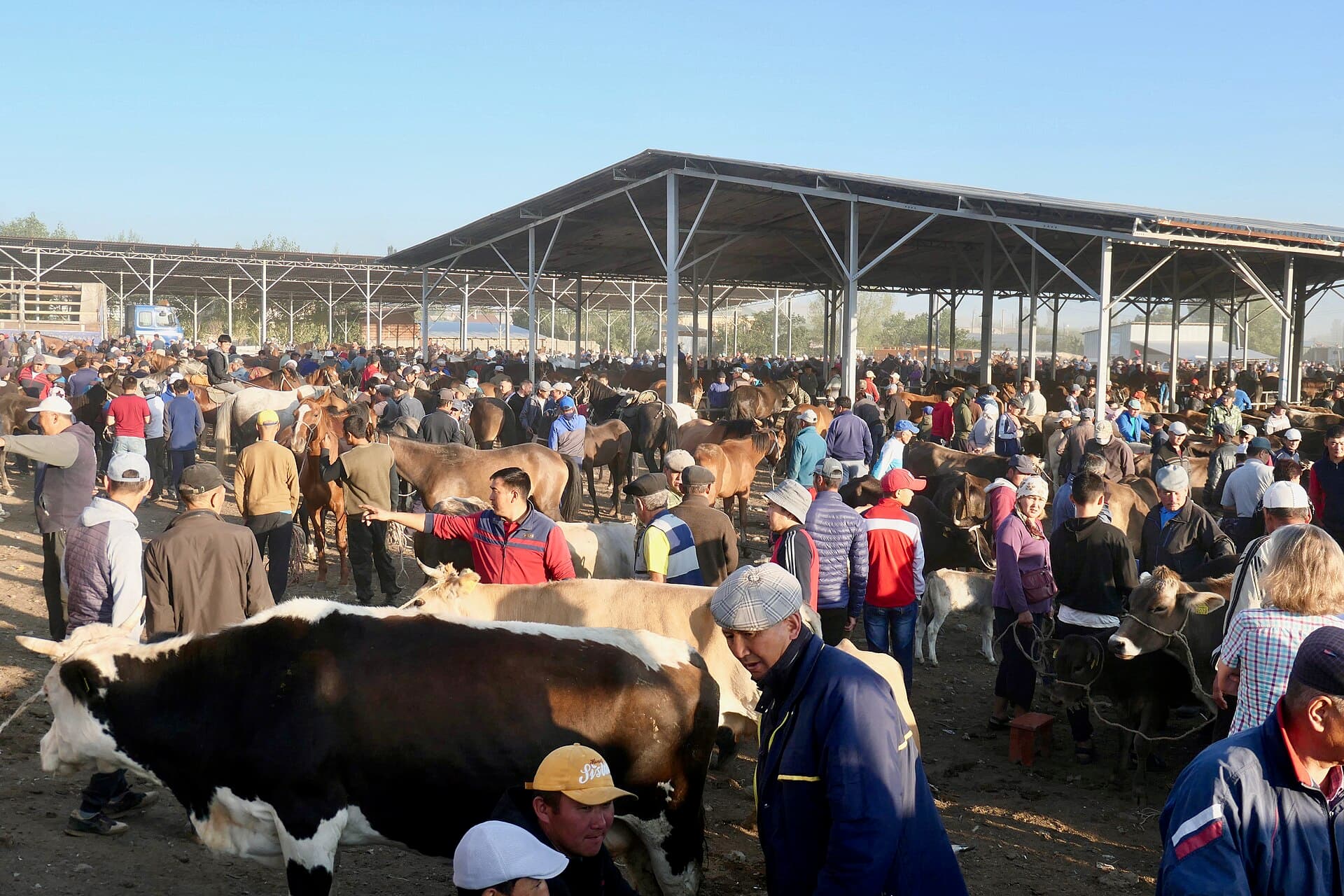 Karakol Animal Market, Karakol