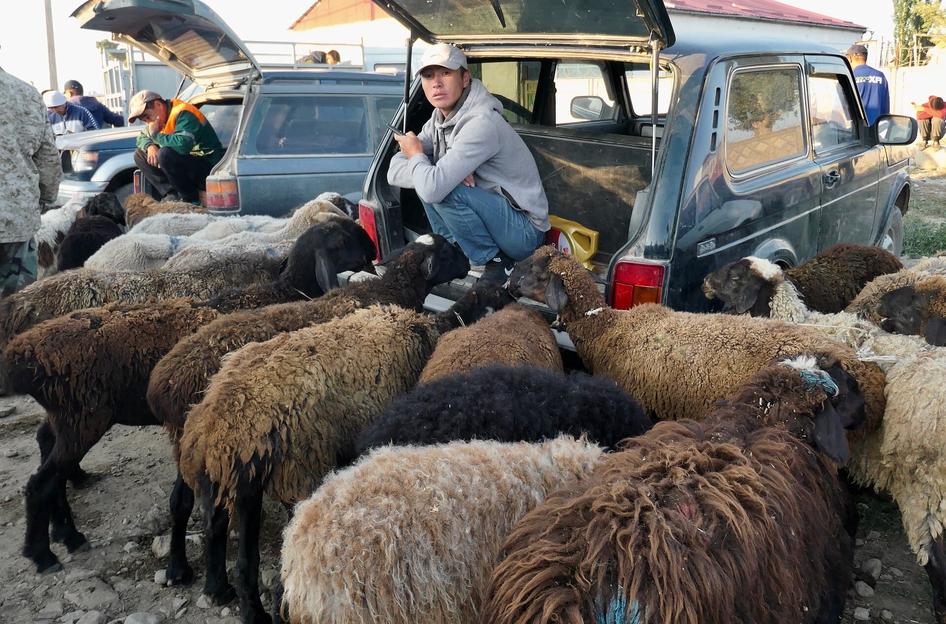 Karakol Animal Market, Karakol