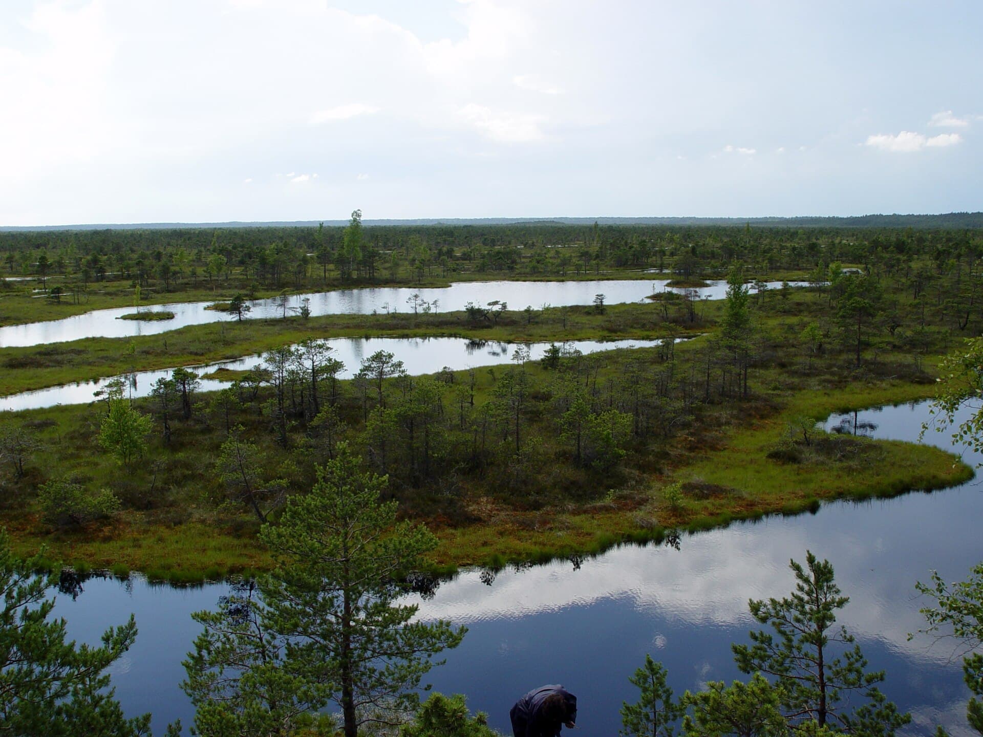 Ķemeri National Park, Riga