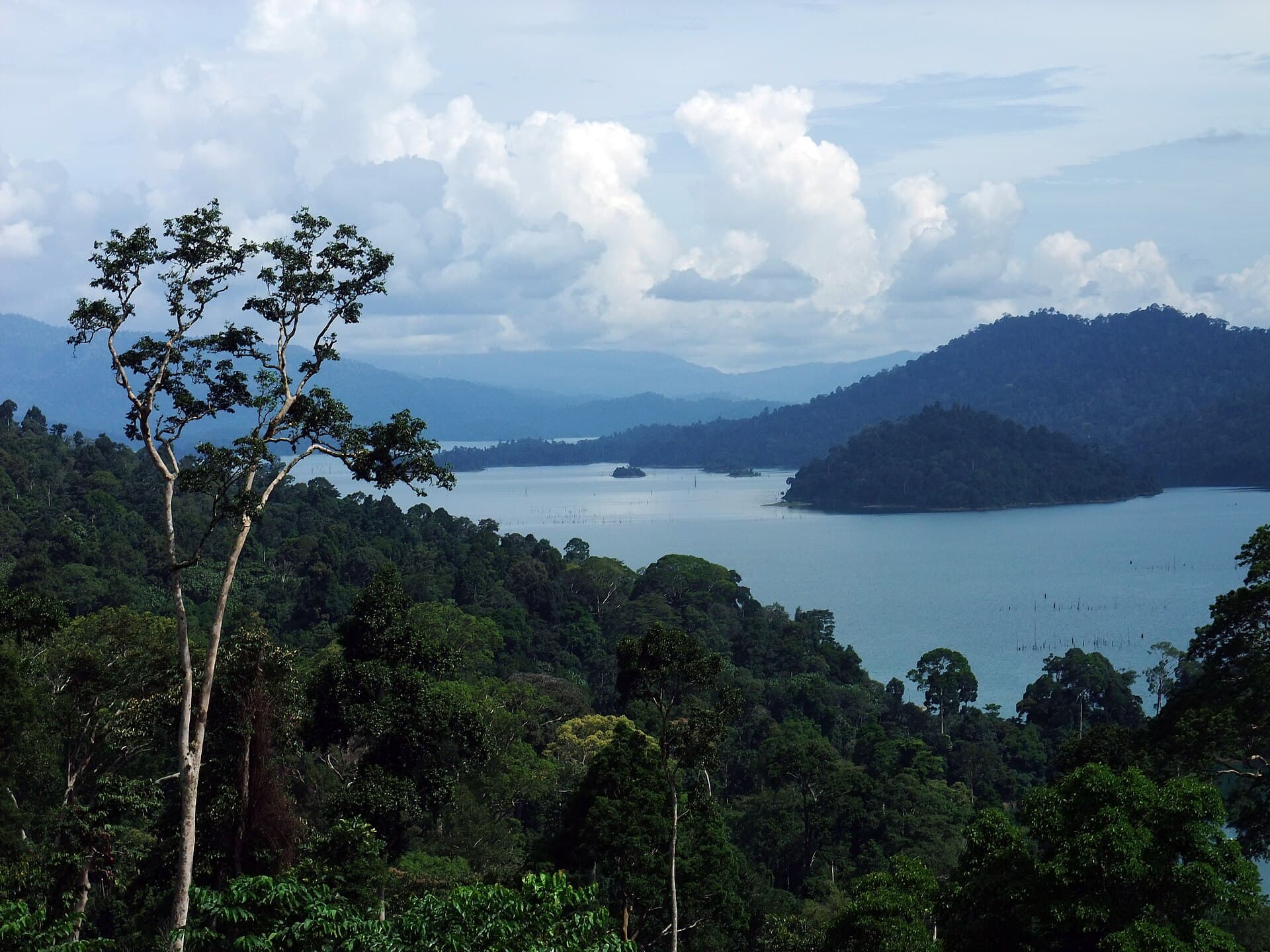 Kenyir Lake