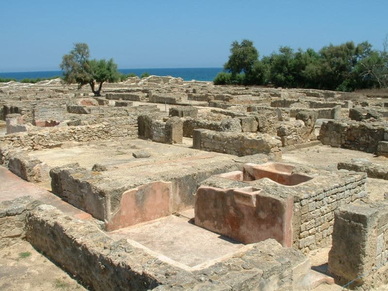 Hammamet