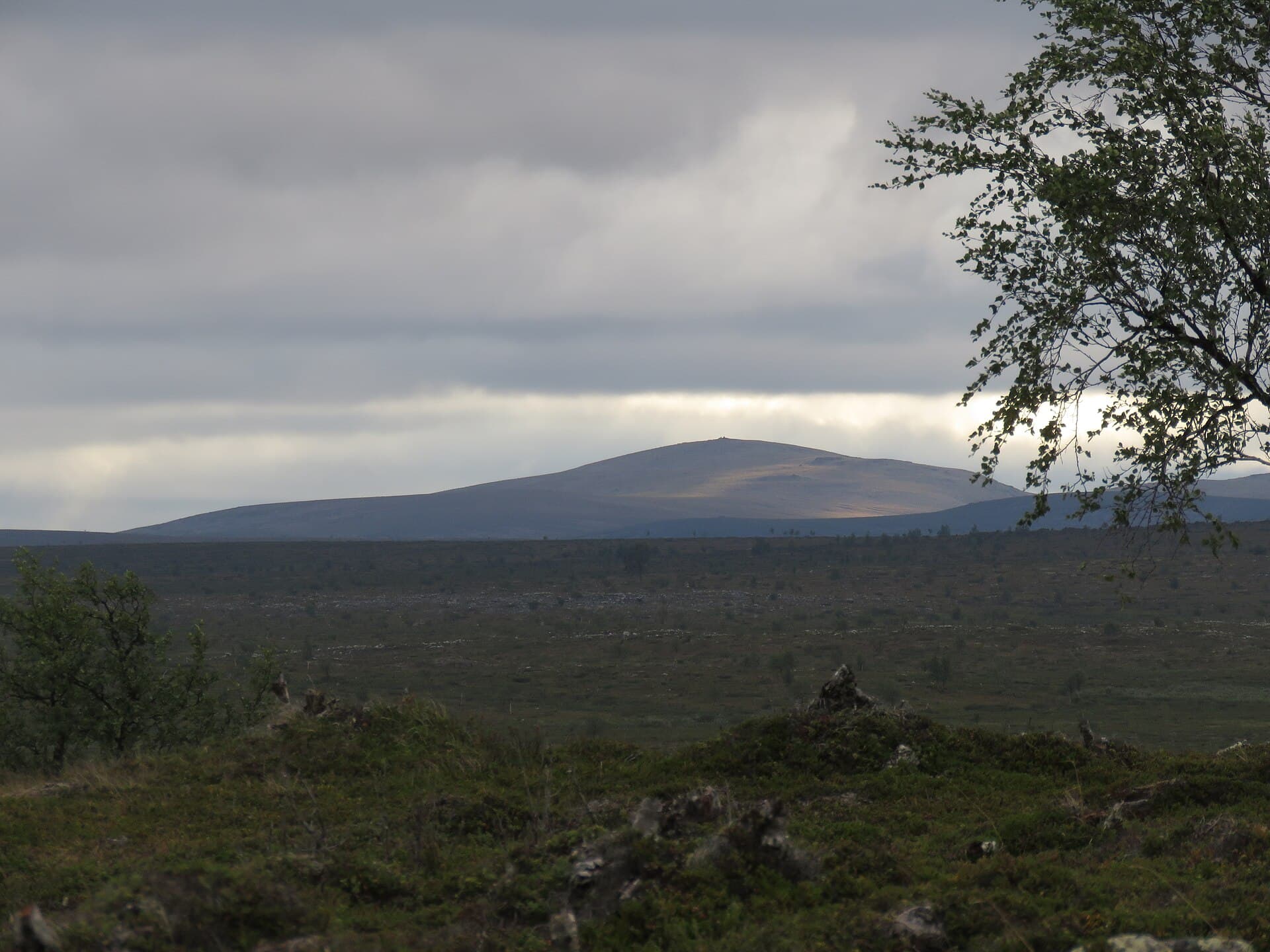 Kevo Strict Nature Reserve, Inari