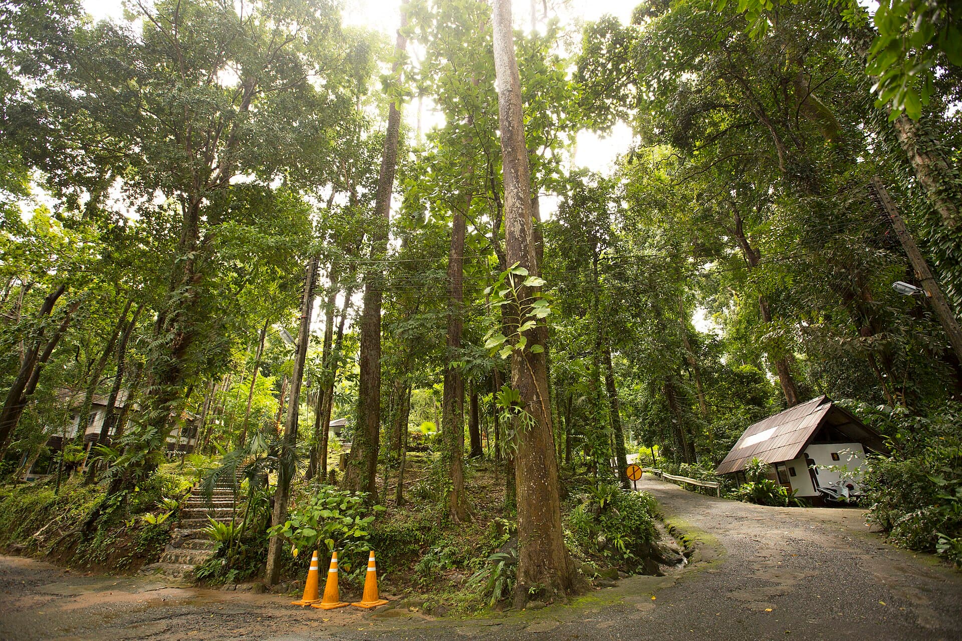 Khao Lak–Lam Ru National Park, Khao Lak