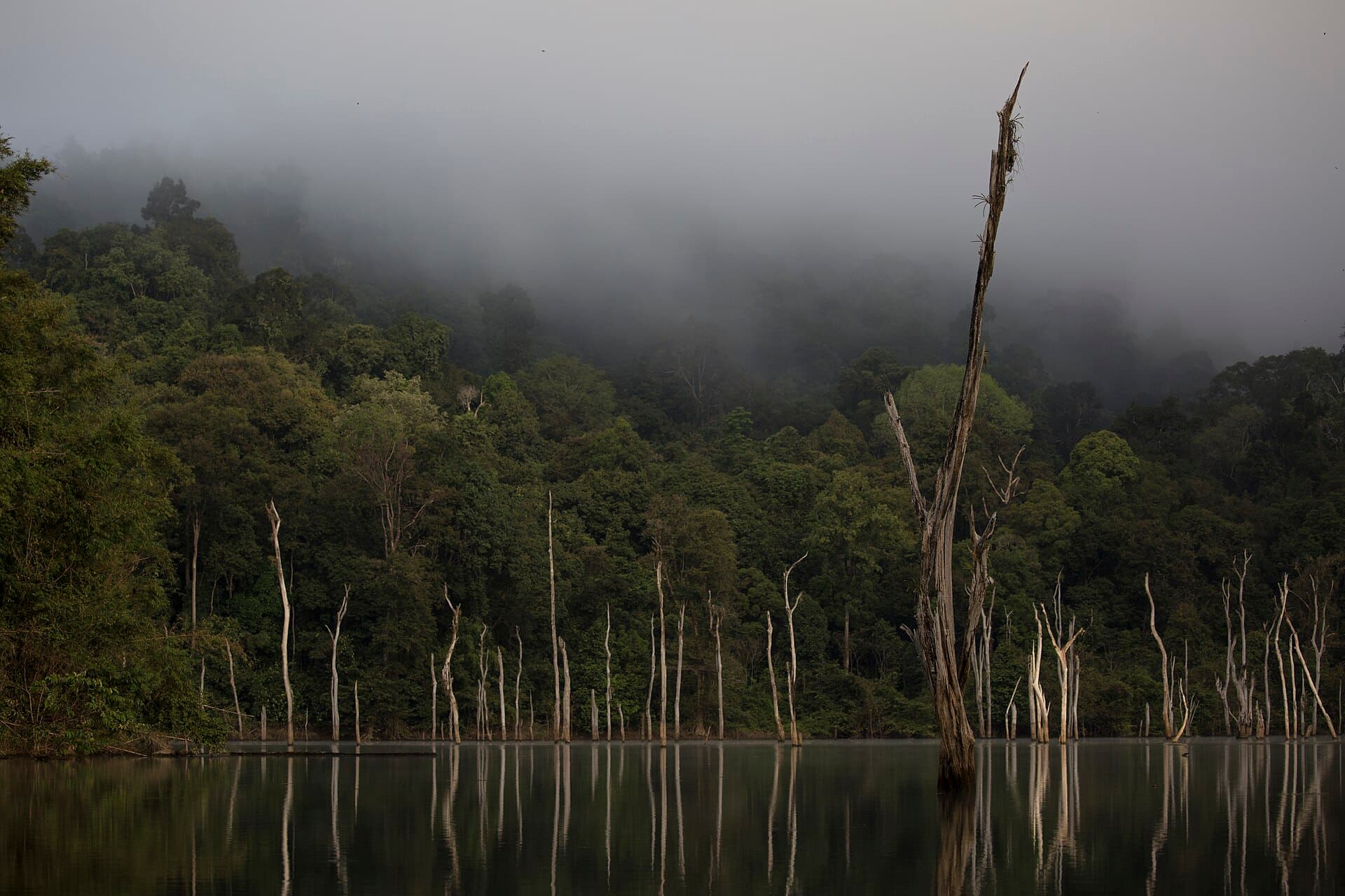 Khao Sok National Park and Cheow Lan Lake, Khao Lak