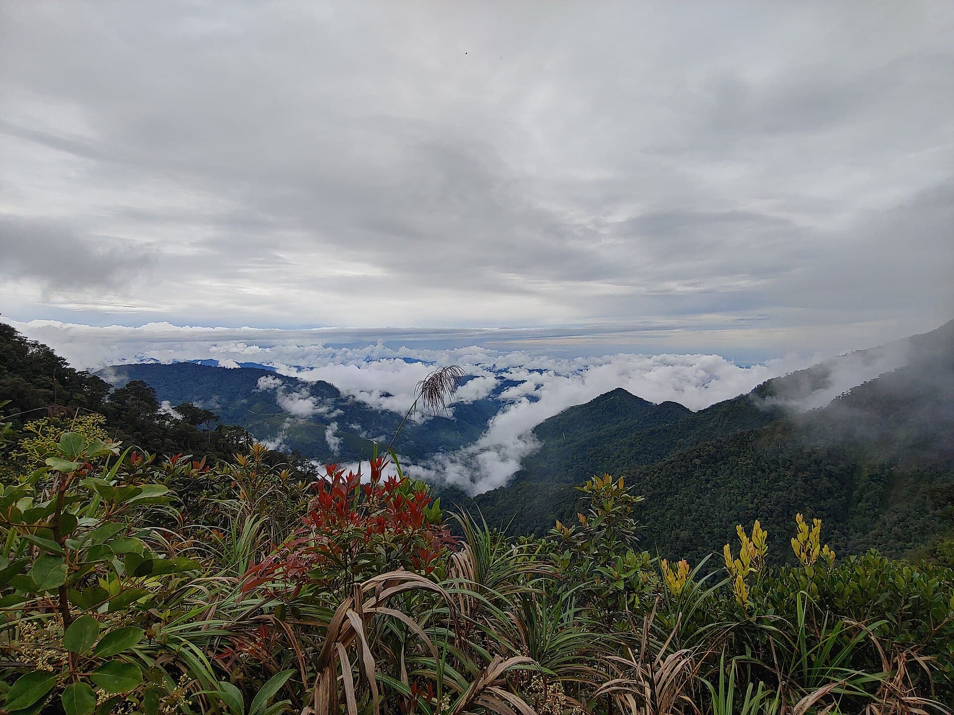 Kinabalu Park and Mount Kinabalu, Kota Kinabalu