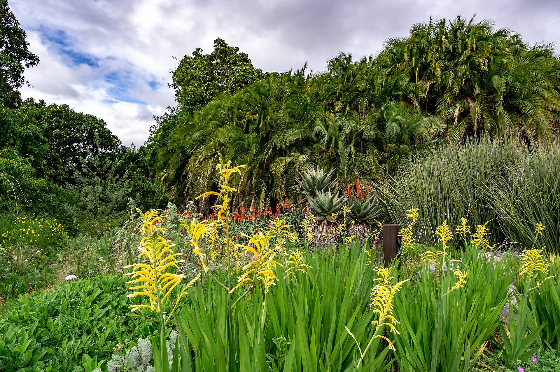 Kirstenbosch National Botanical Garden