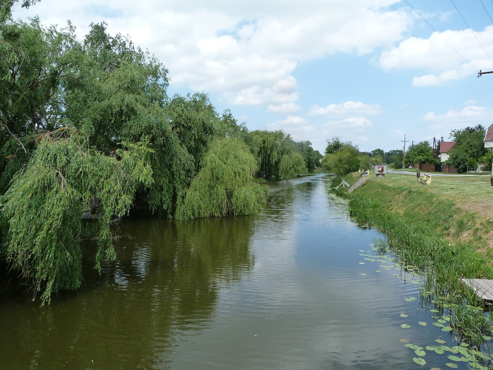 Kis-Balaton Bird Reserve, Lake Balaton