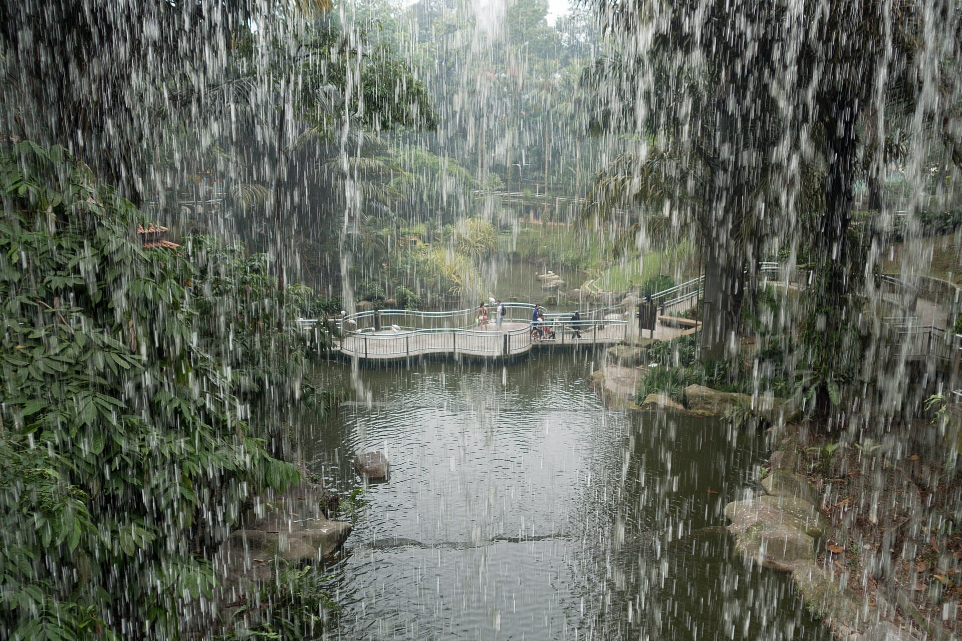 KL Bird Park, Kuala Lumpur