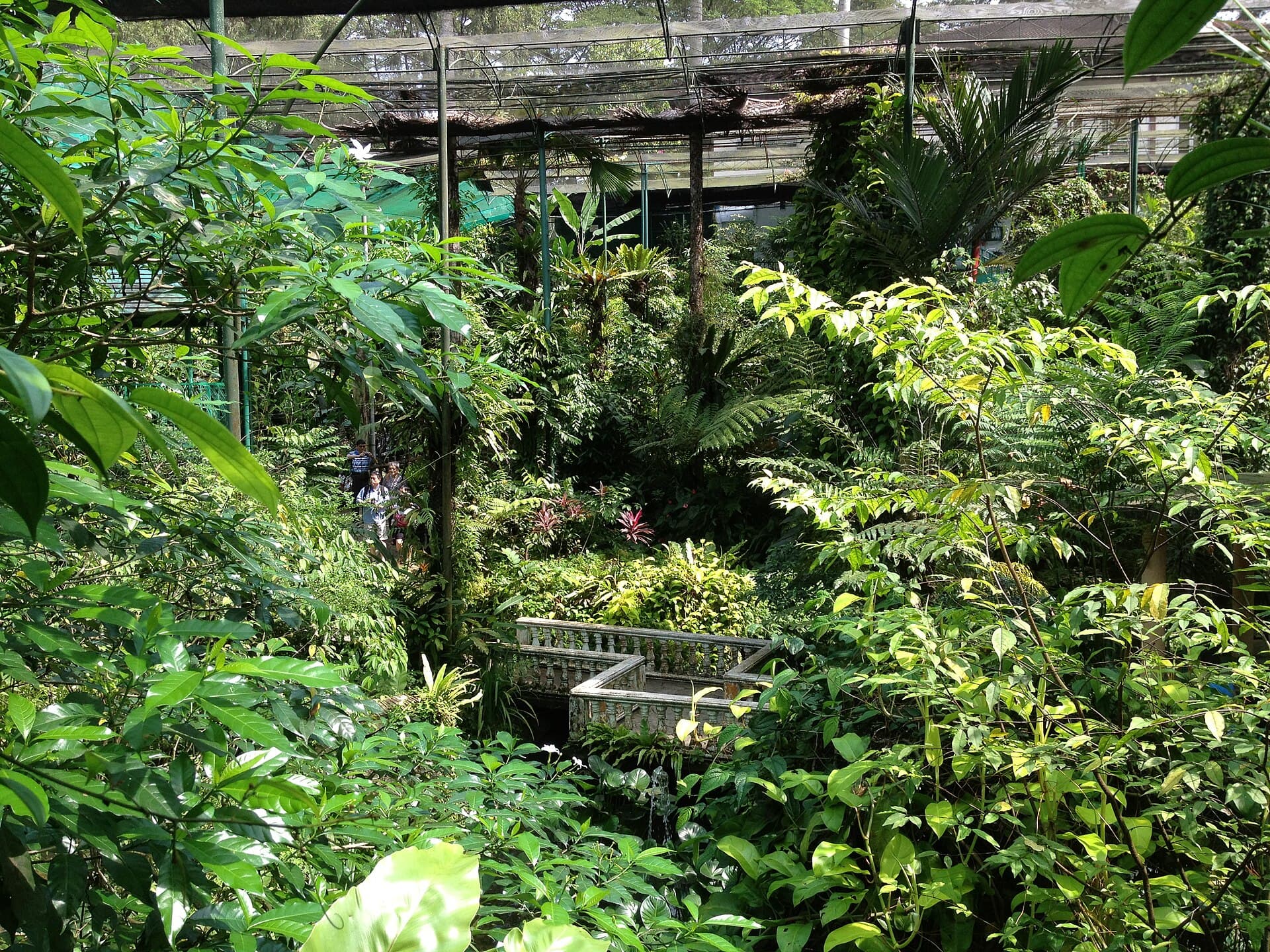 Kuala Lumpur Butterfly Park