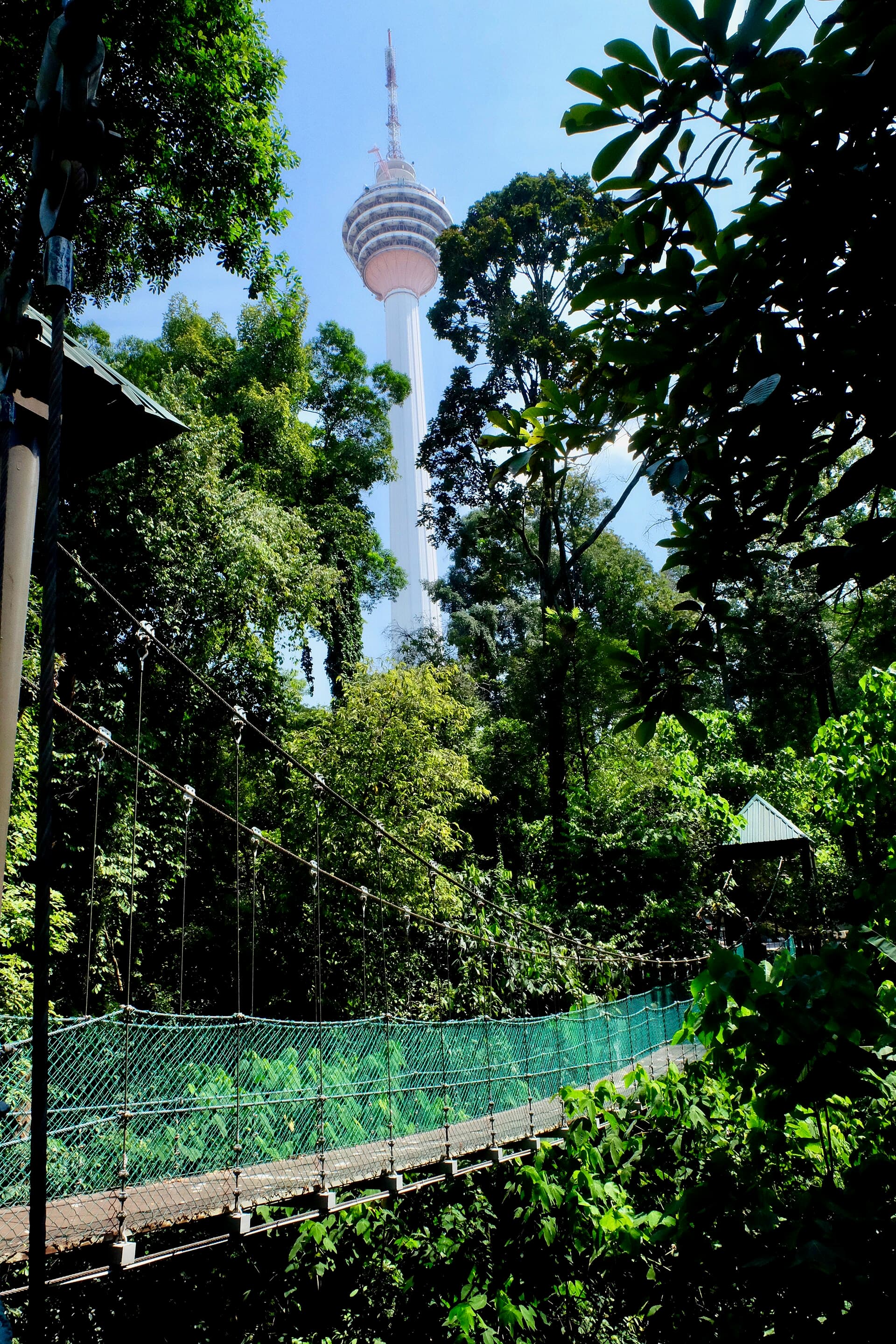 KL Forest Eco Park (Bukit Nanas)