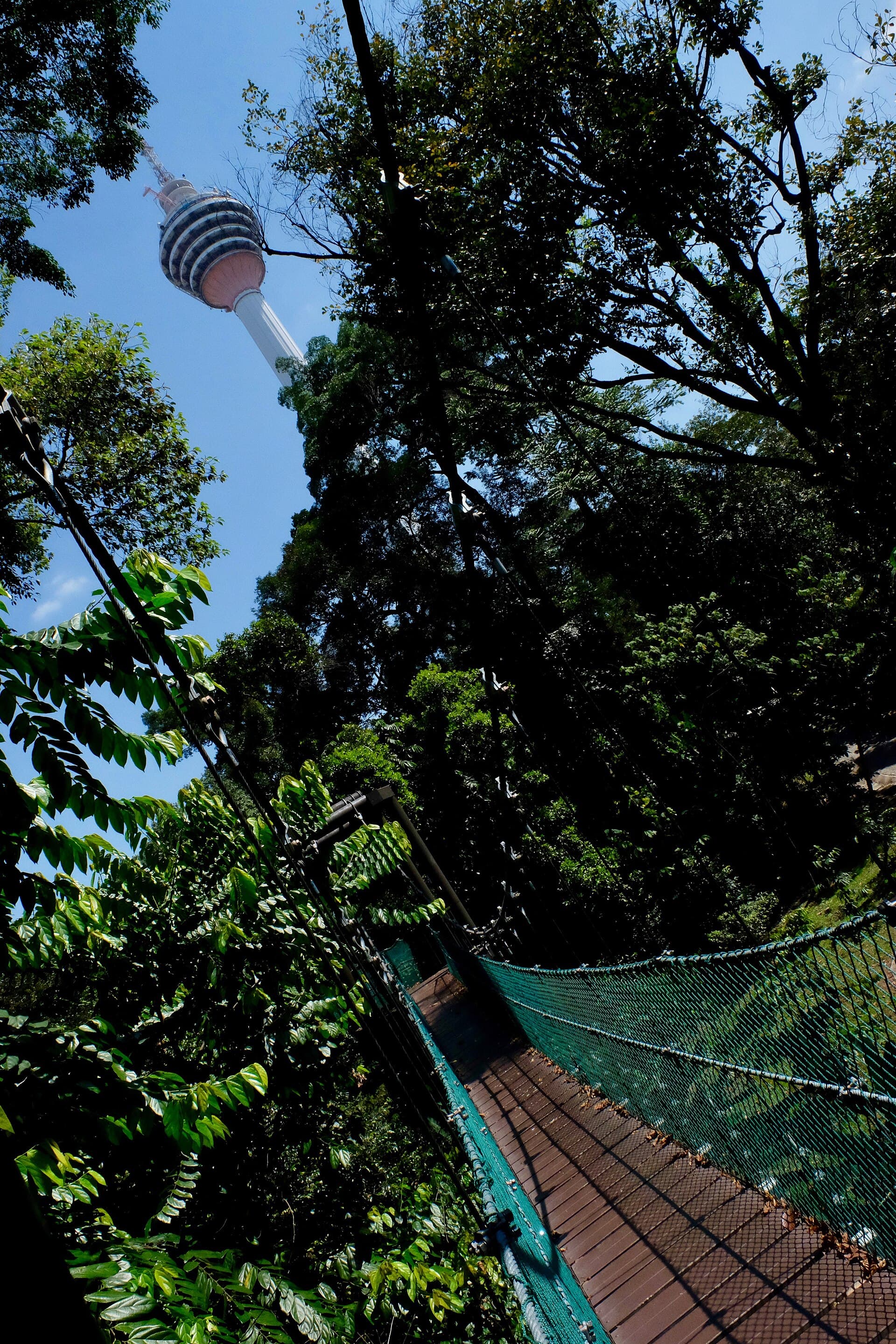 KL Forest Eco Park