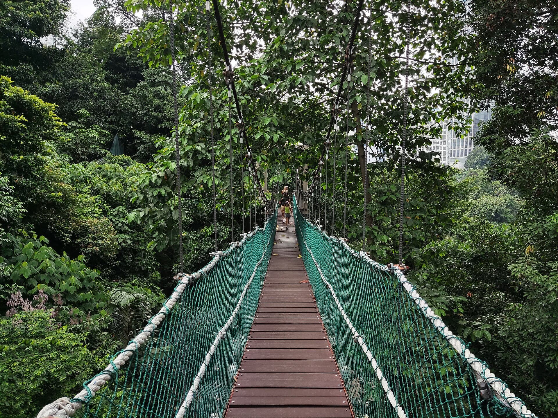 KL Forest Eco Park