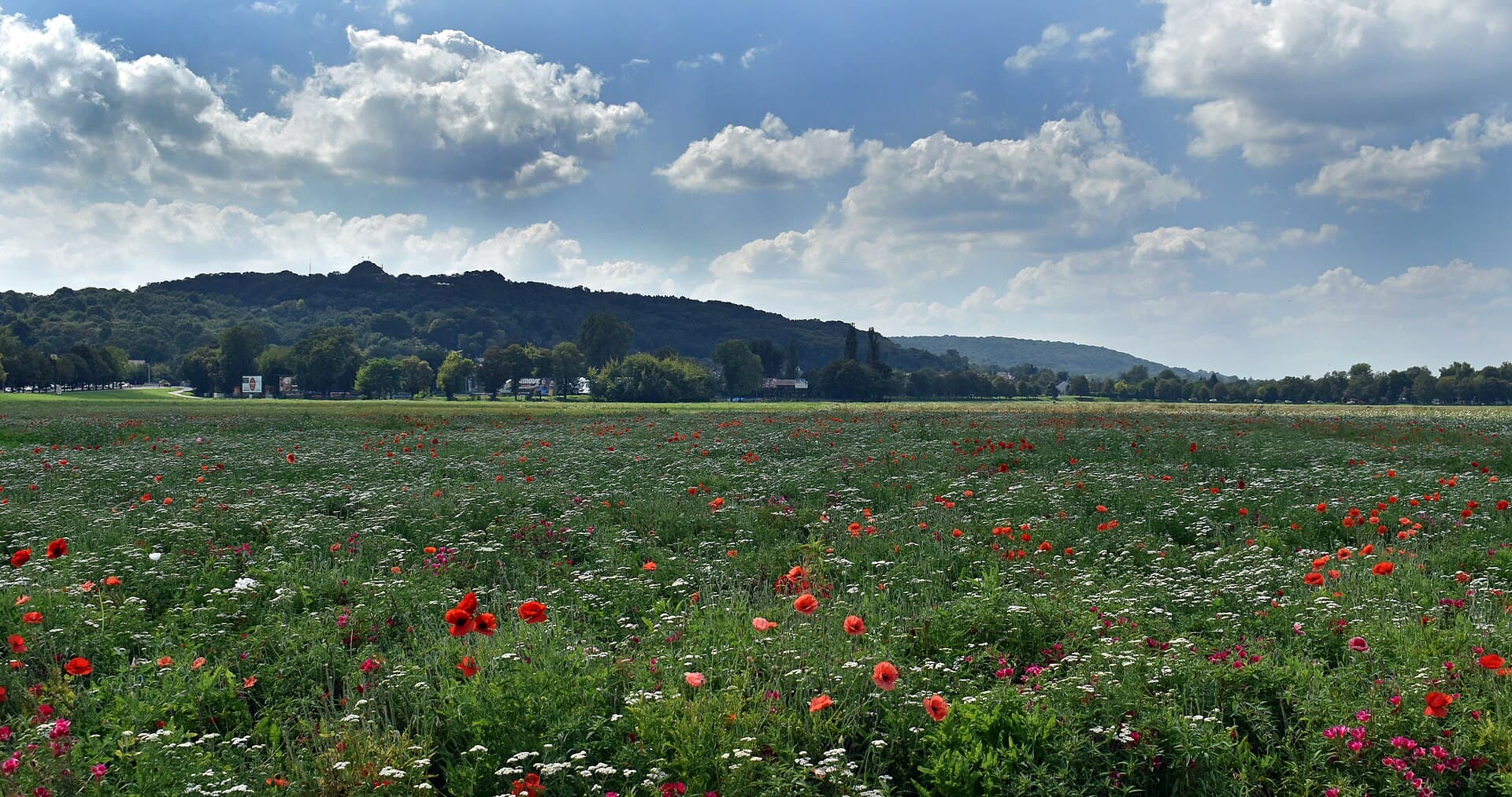 The Kościuszko Mound, Krakow