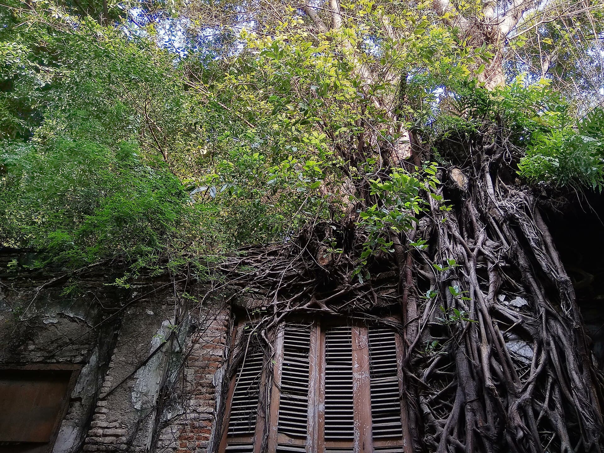 Kota Lama Semarang (Old Town), Semarang