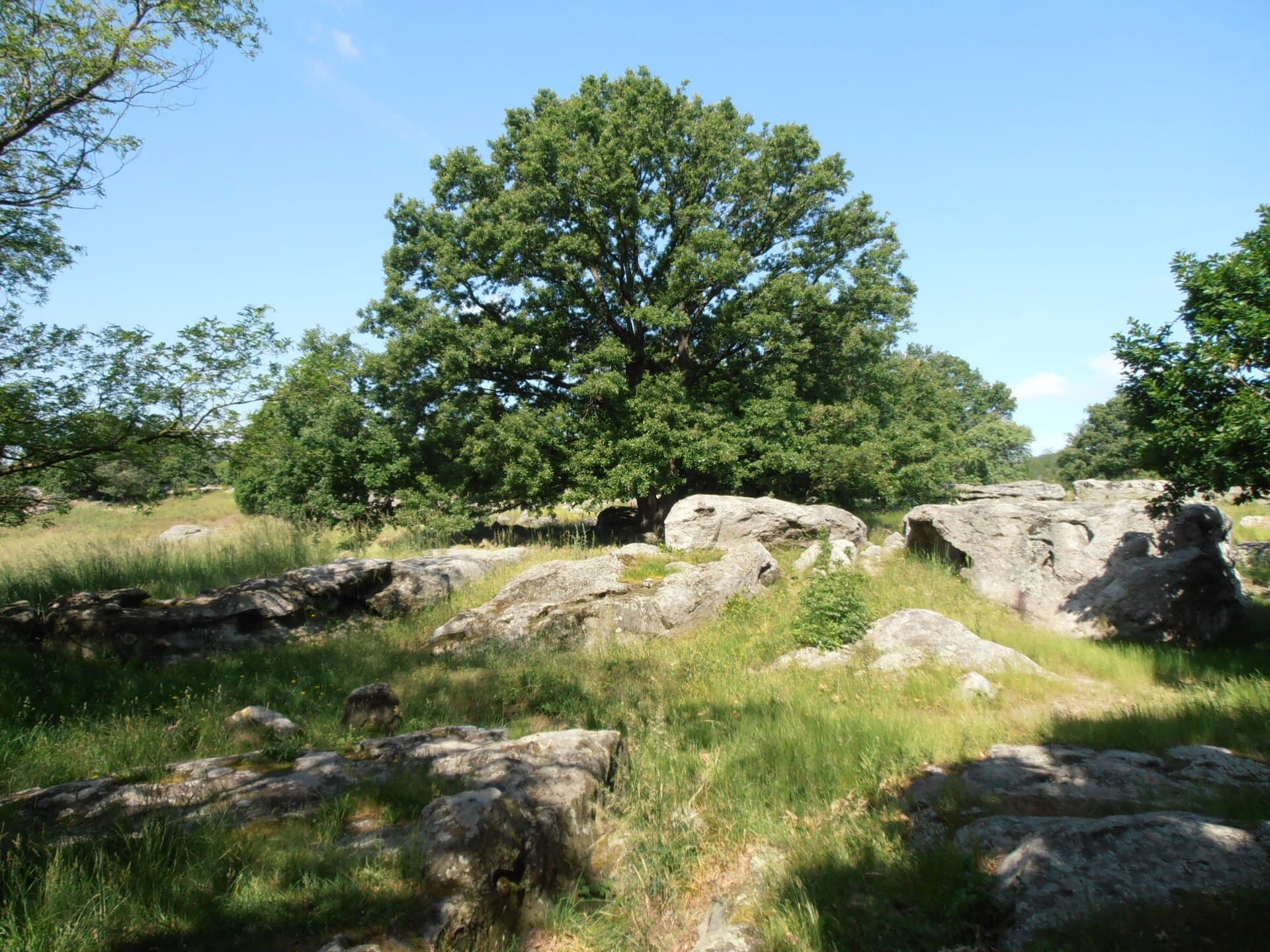 Sea of Stones, Szentbékkálla, Szentbékkálla