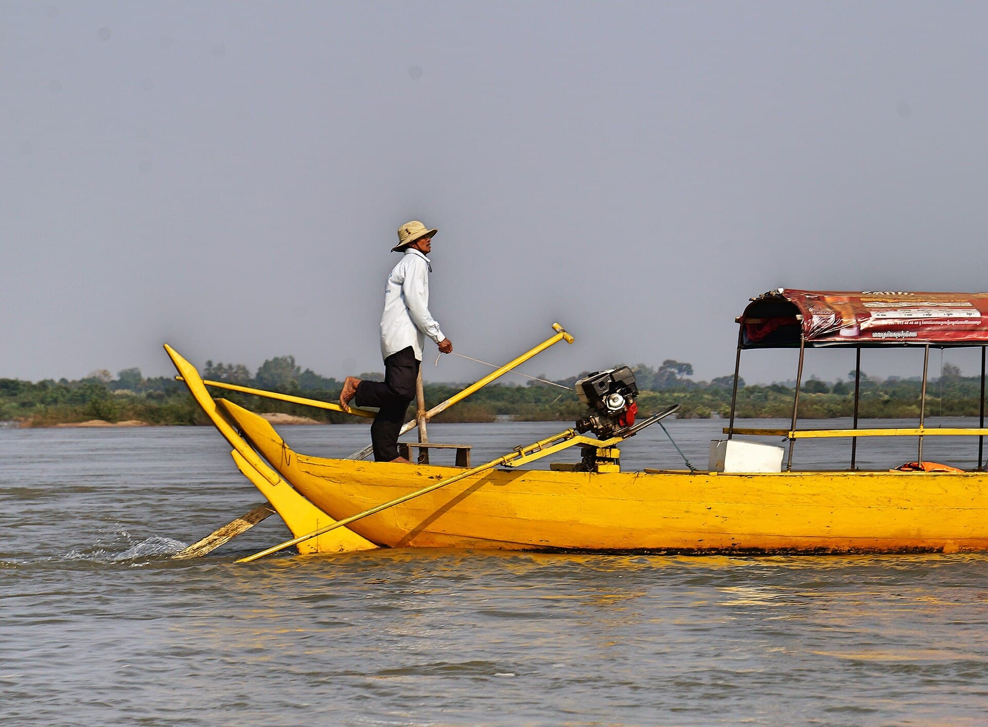 Irrawaddy dolphins in the Mekong